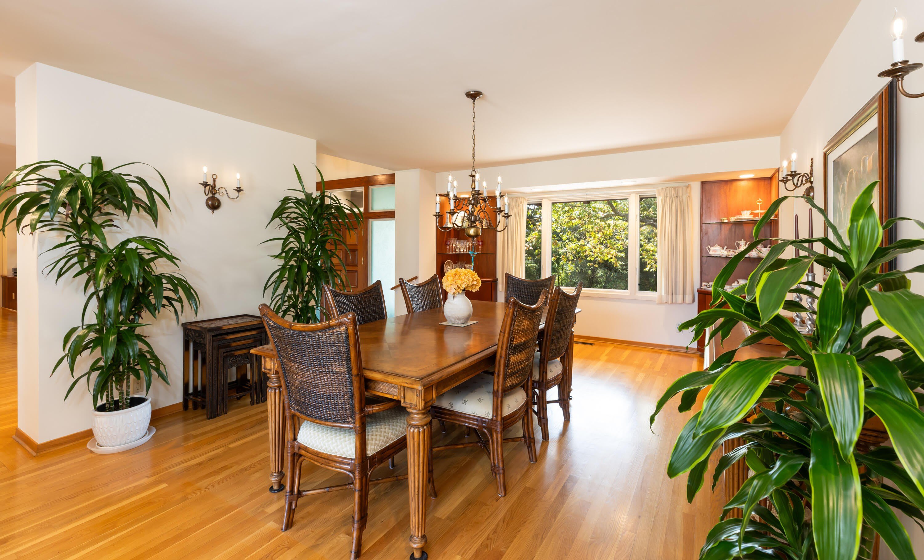 375 Las Palmas Drive – photo 5