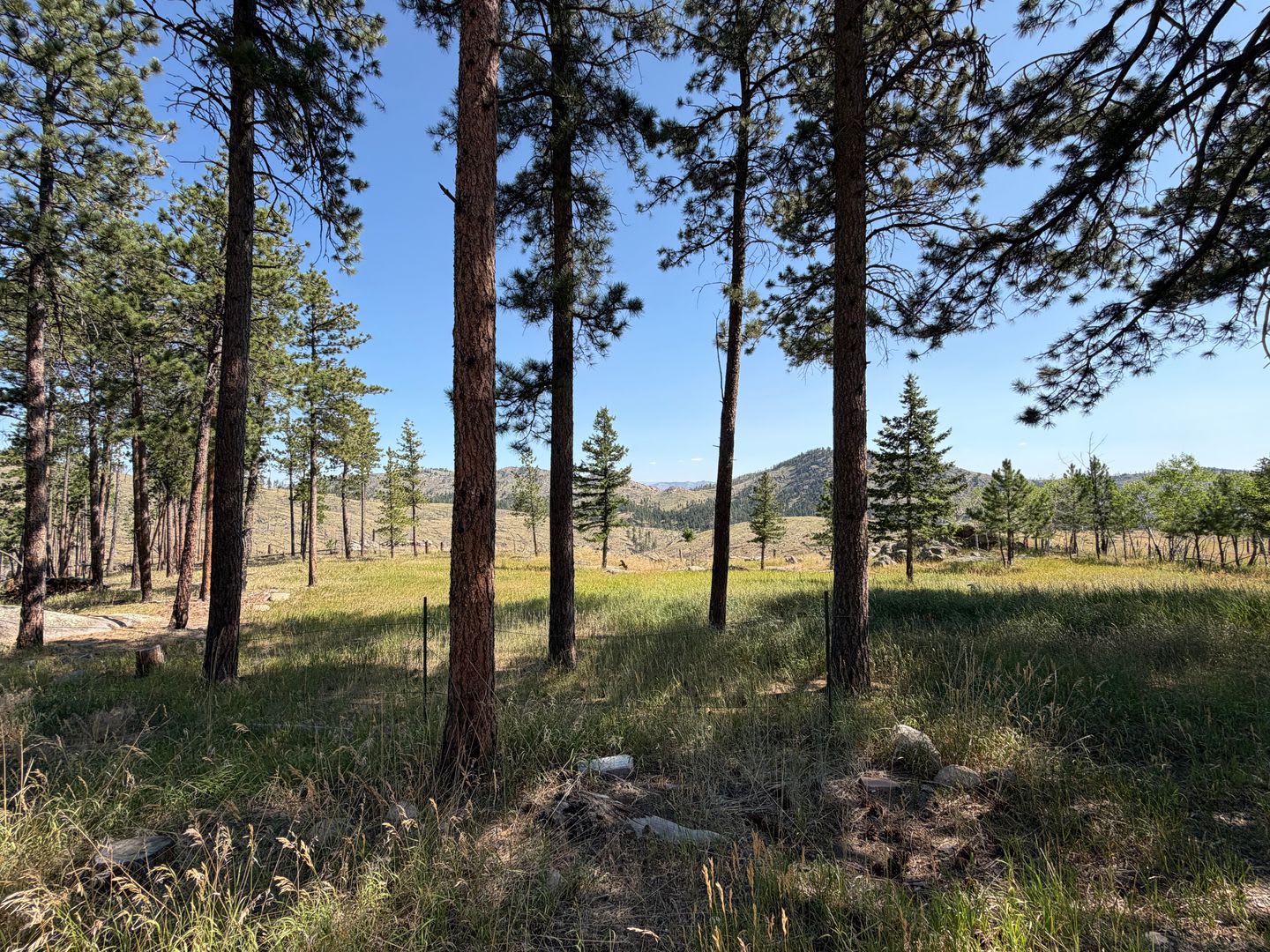 348 La Escena Drive Bellvue Co 80512 – photo 5