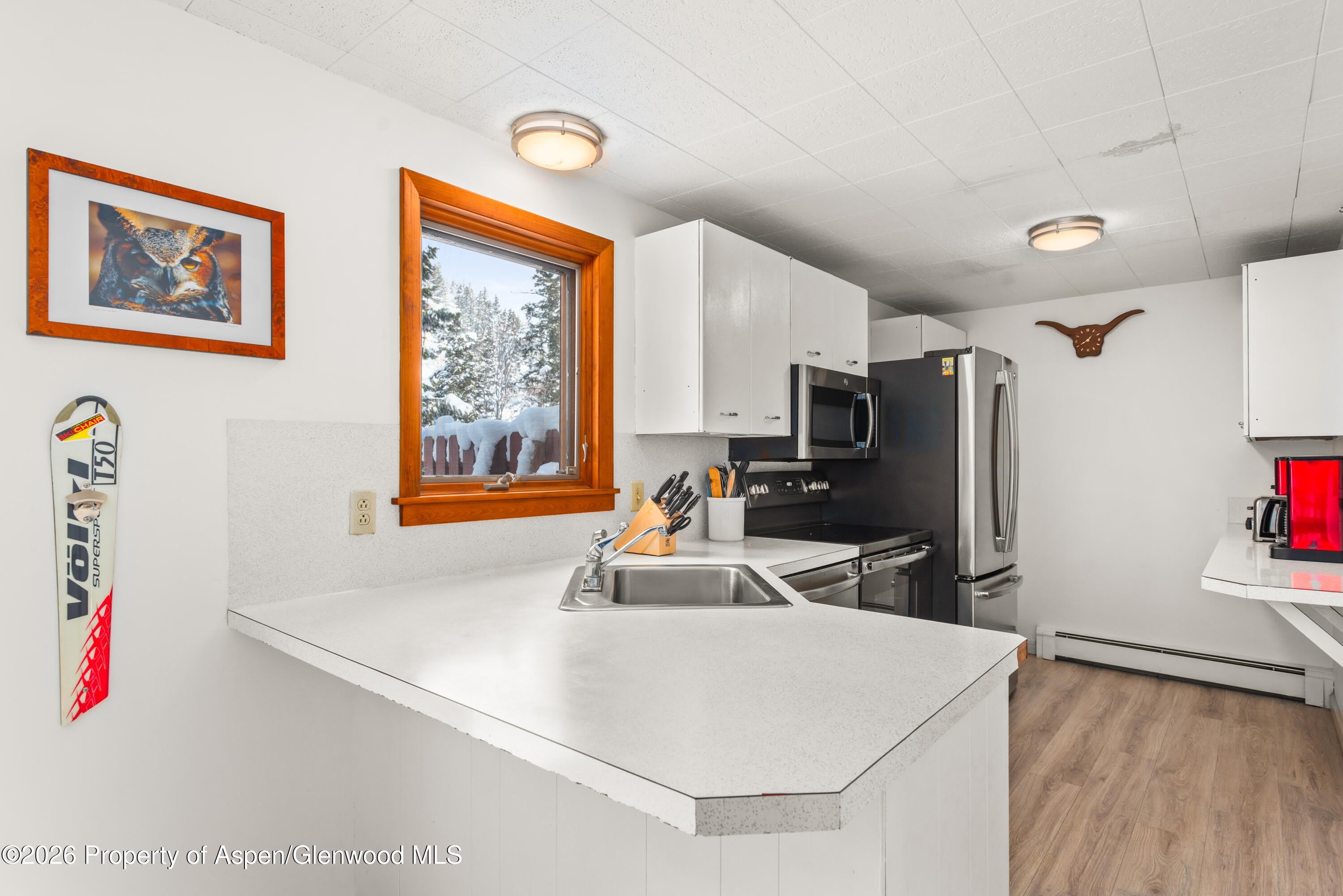 1501 Maroon Creek Road – photo 5