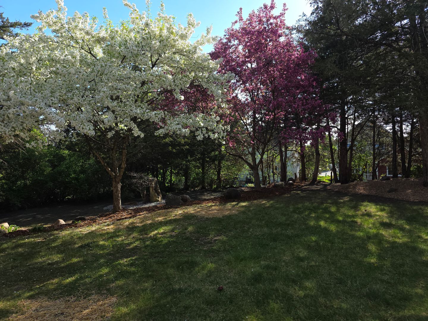 Limited-Time Move-In Special! Save $200 per Month for 12 months! – photo 2