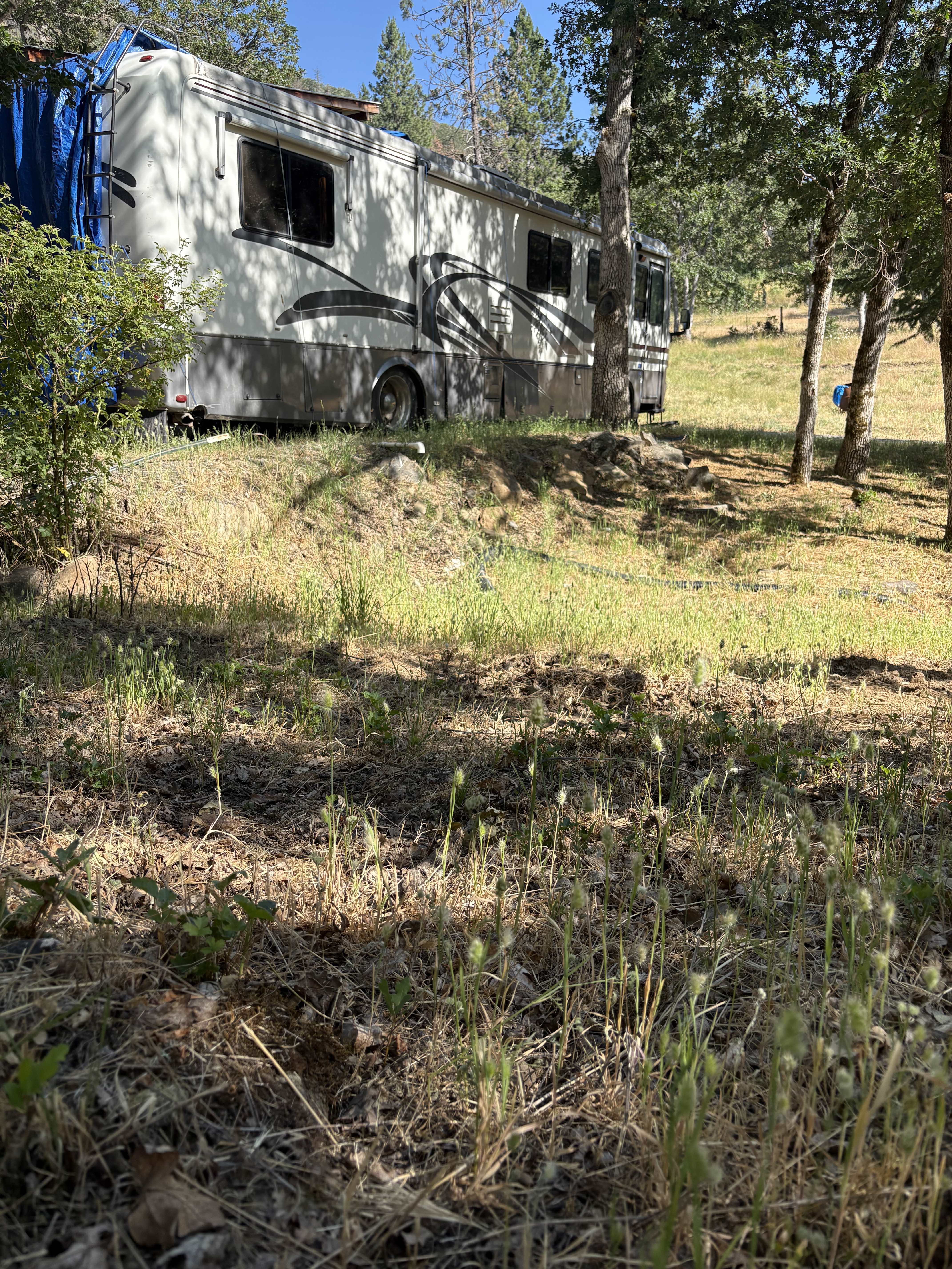 941 Upper Applegate Rd – photo 5