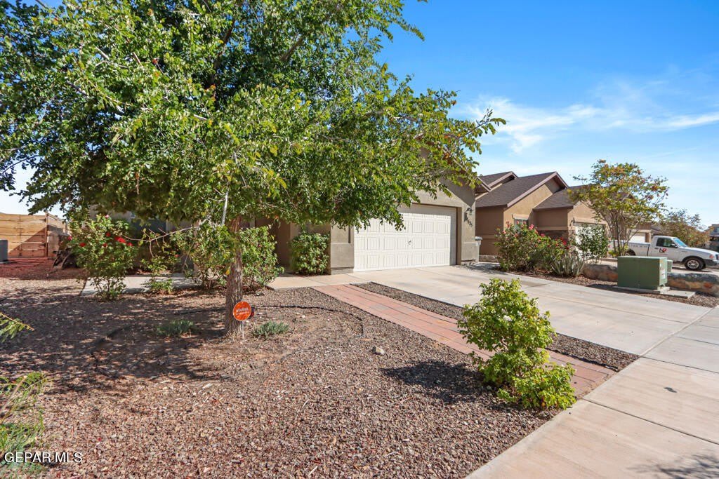 14685 HOLSTEINER Court – photo 3