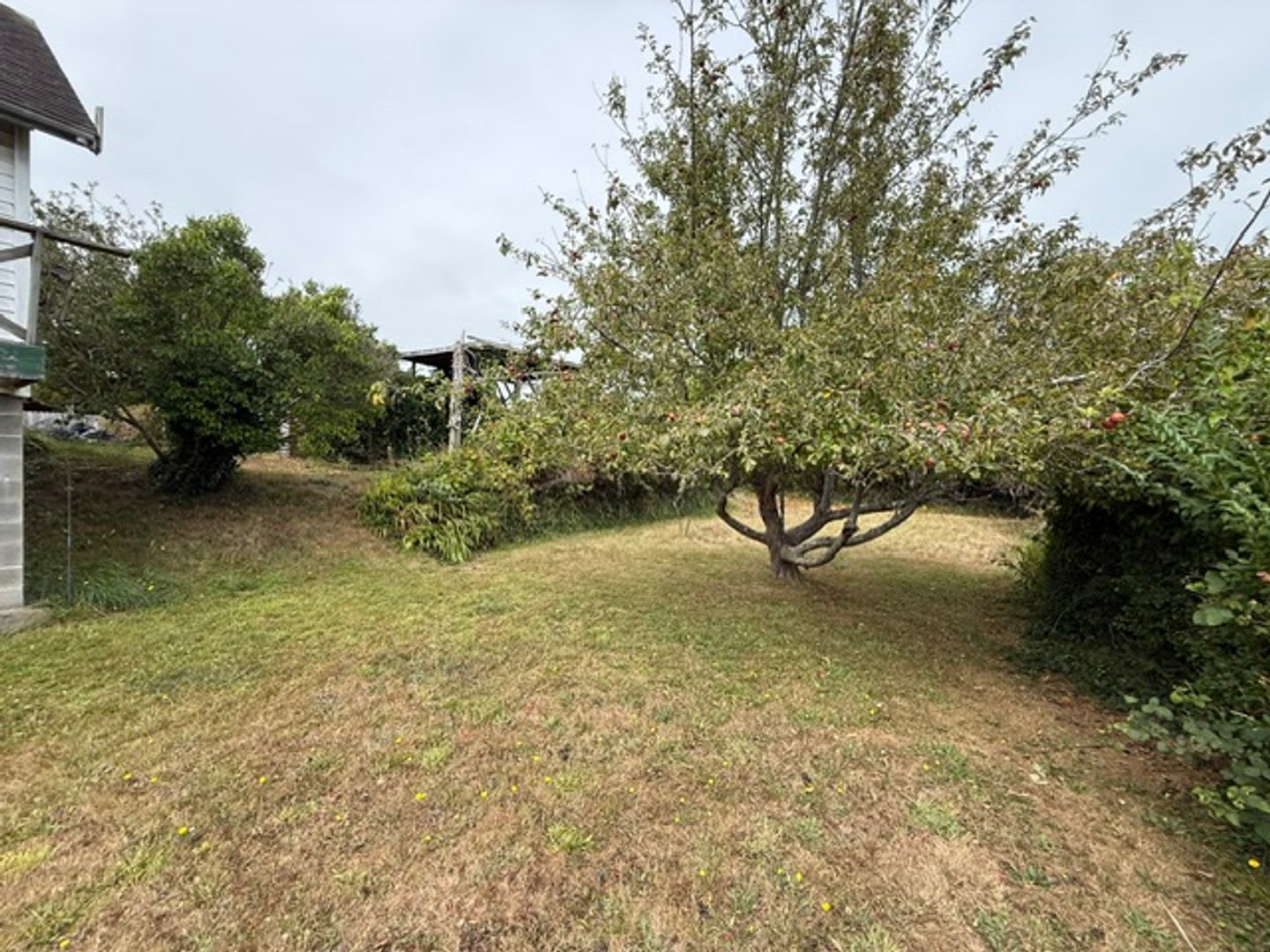 2176 – photo 2