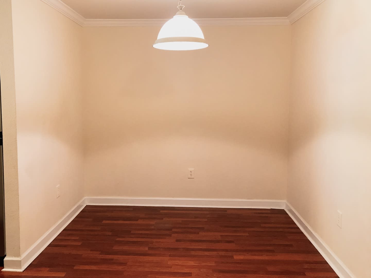 3 Bedroom 2 Bath With Garage For Rent In New Tampa – photo 4
