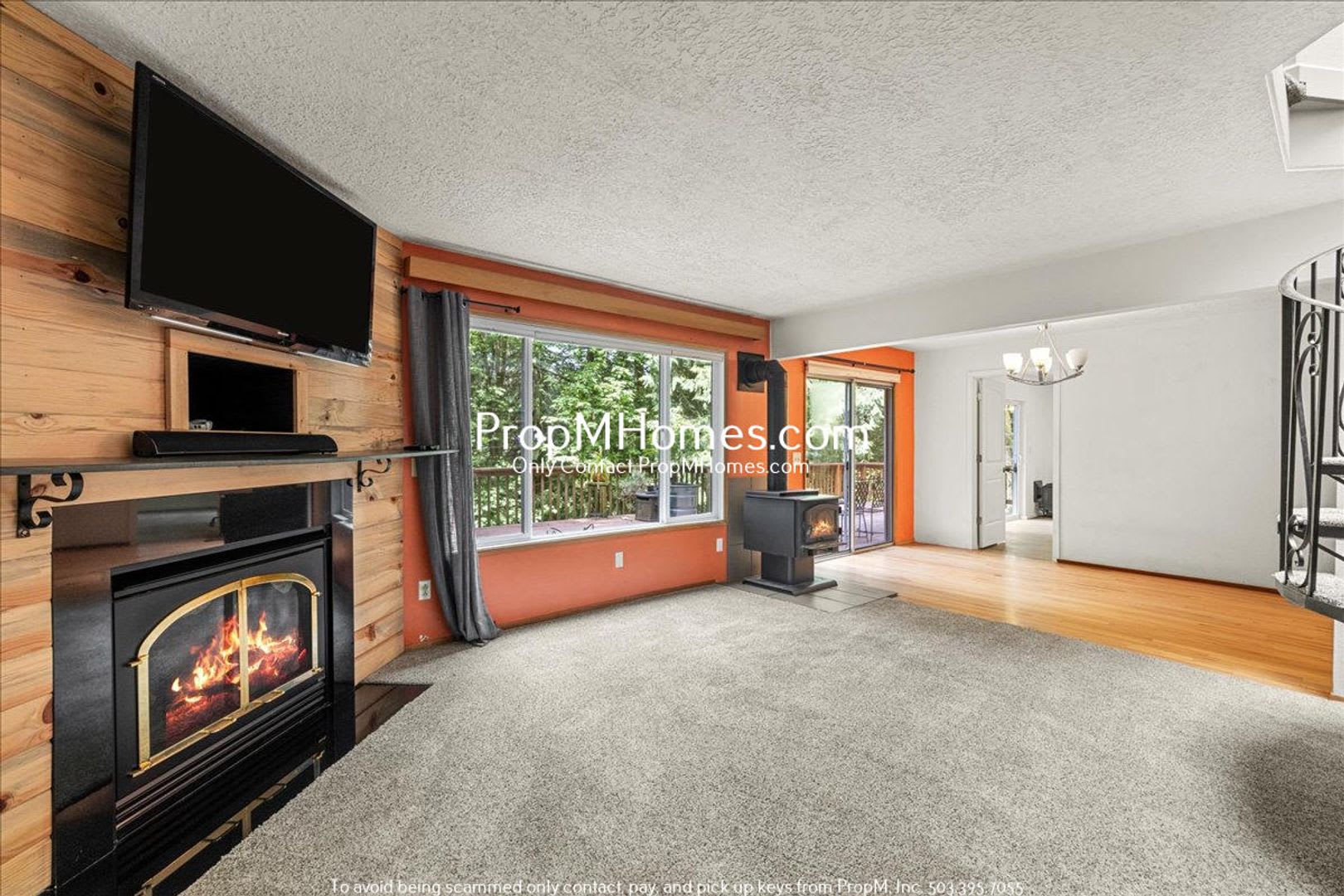 Rare Home Find – photo 4