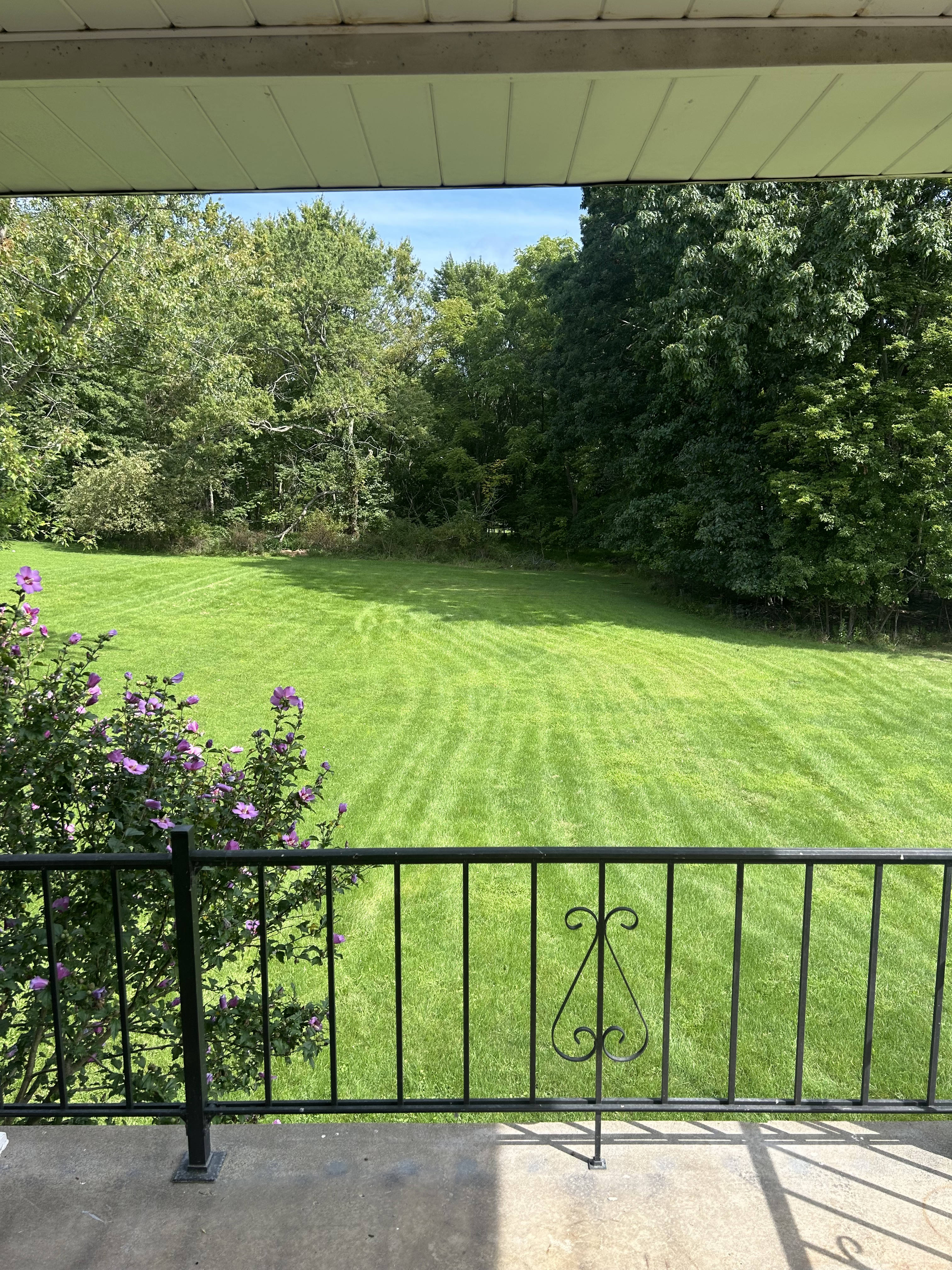 63 Bock Ln – photo 4