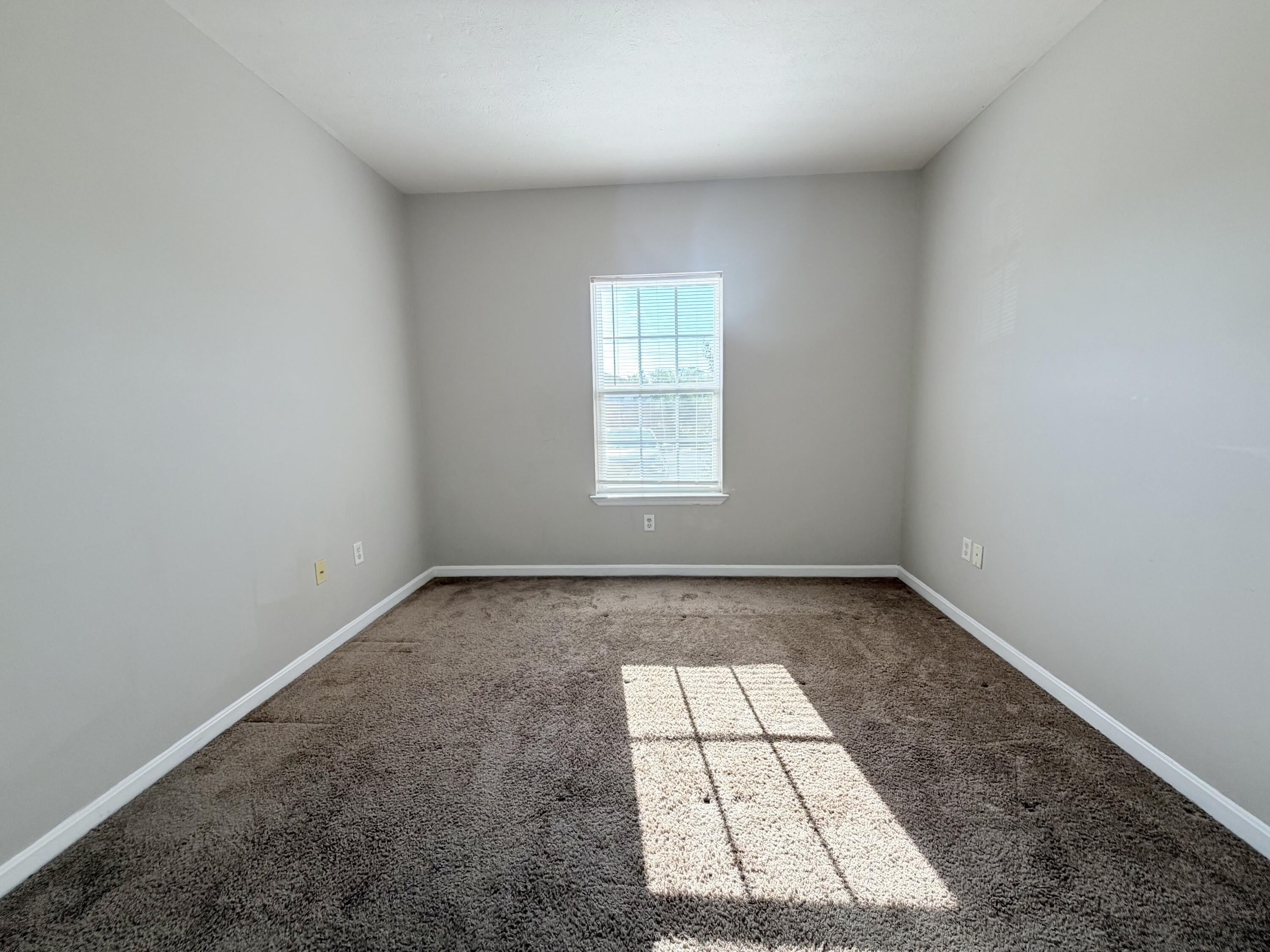 135 Woods Trail – photo 5