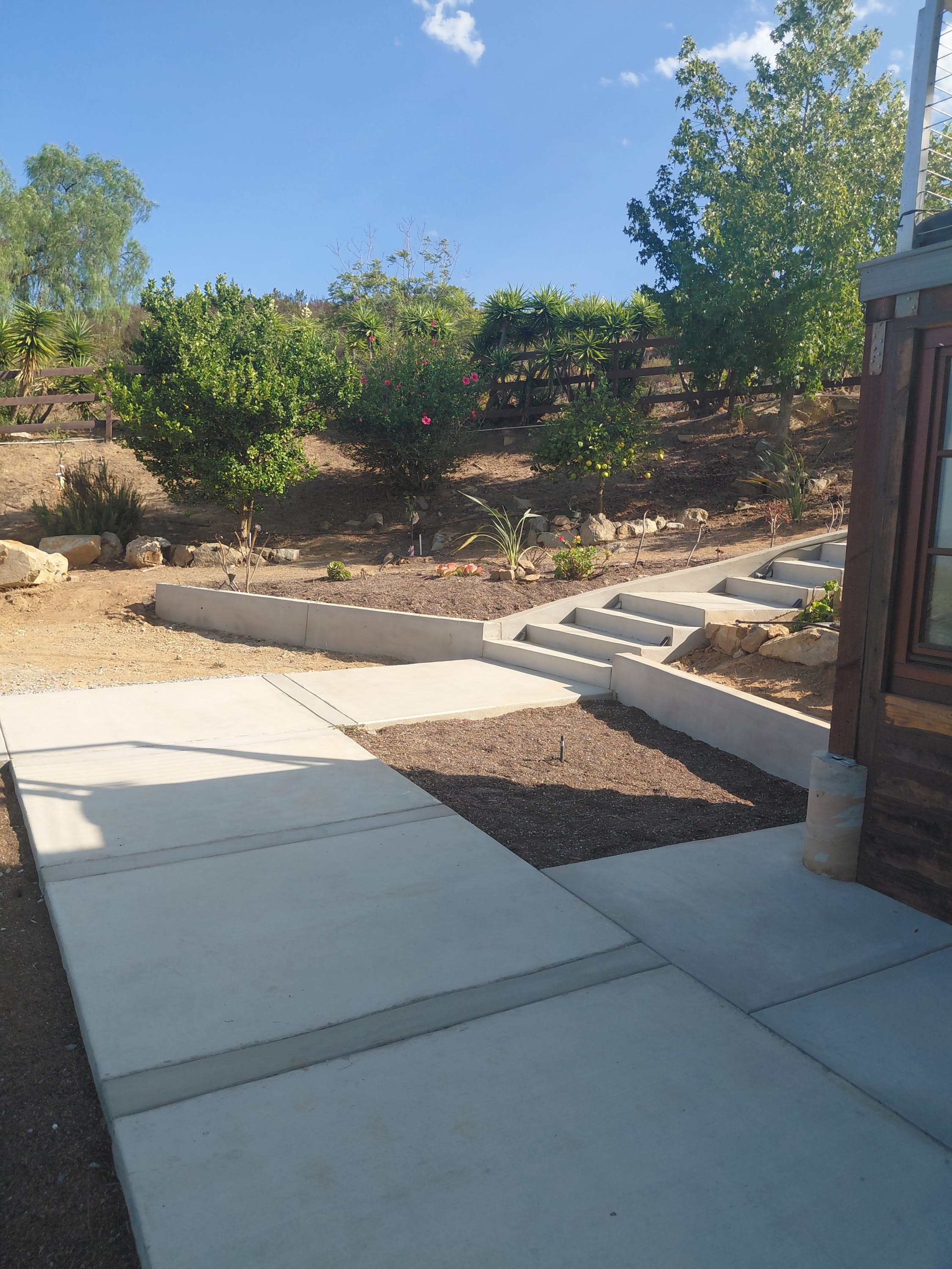 401 Washingtonia – photo 2