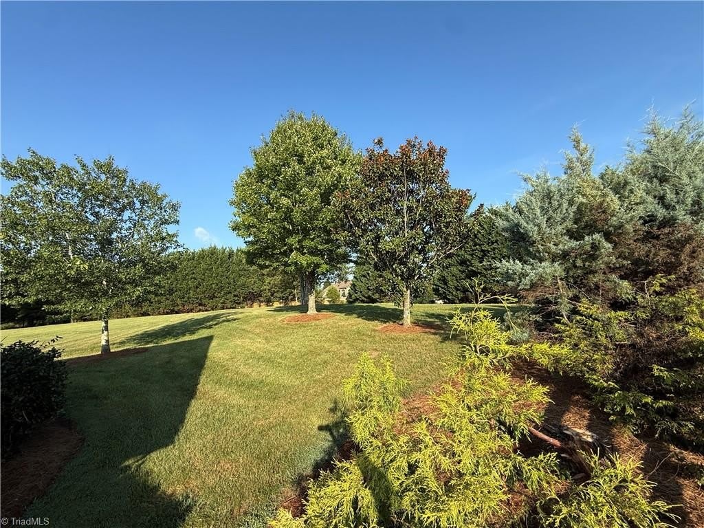 1747 Piney Grove Road – photo 3