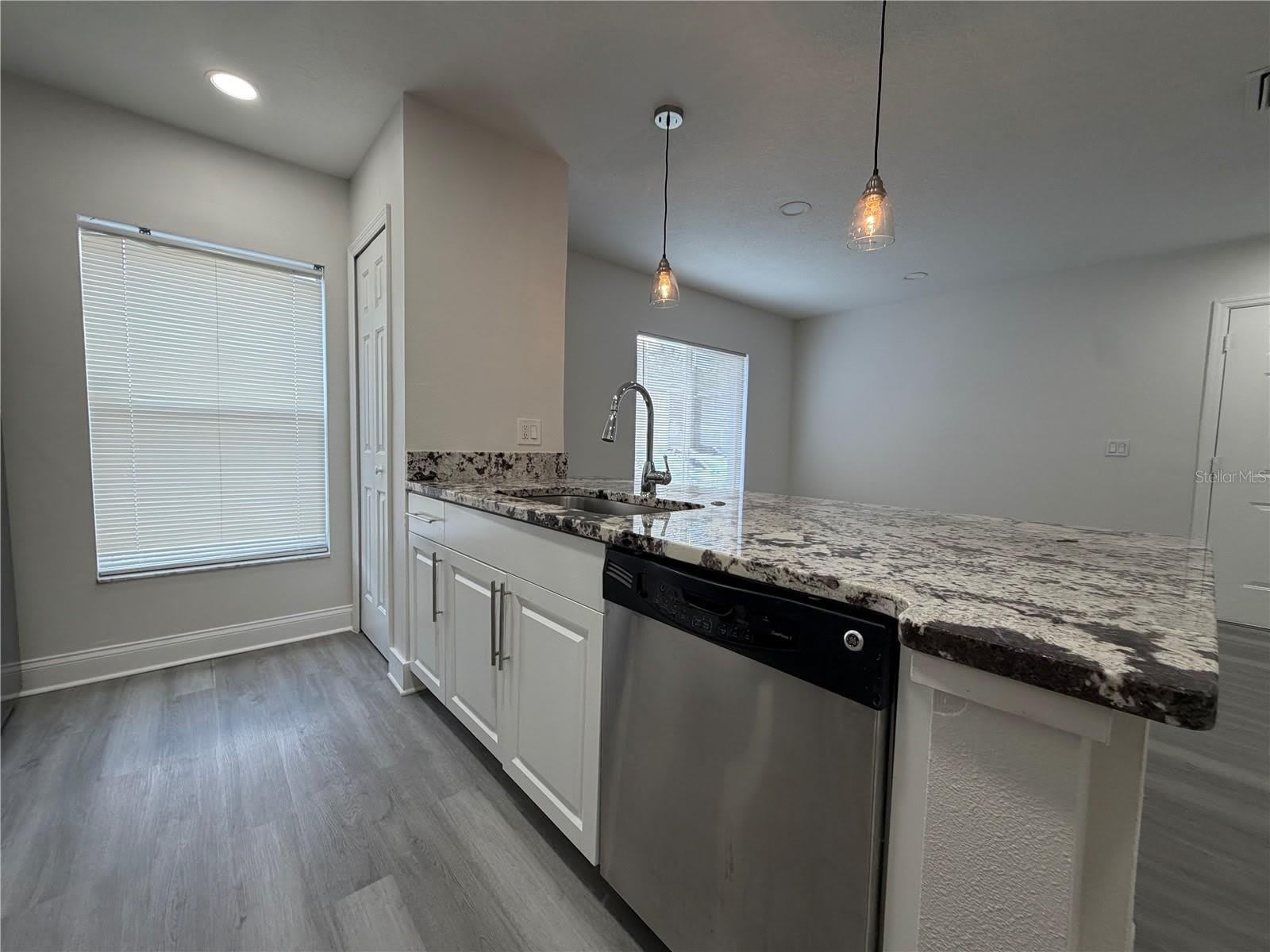 4105 WATERSIDE ISLAND Court – photo 5