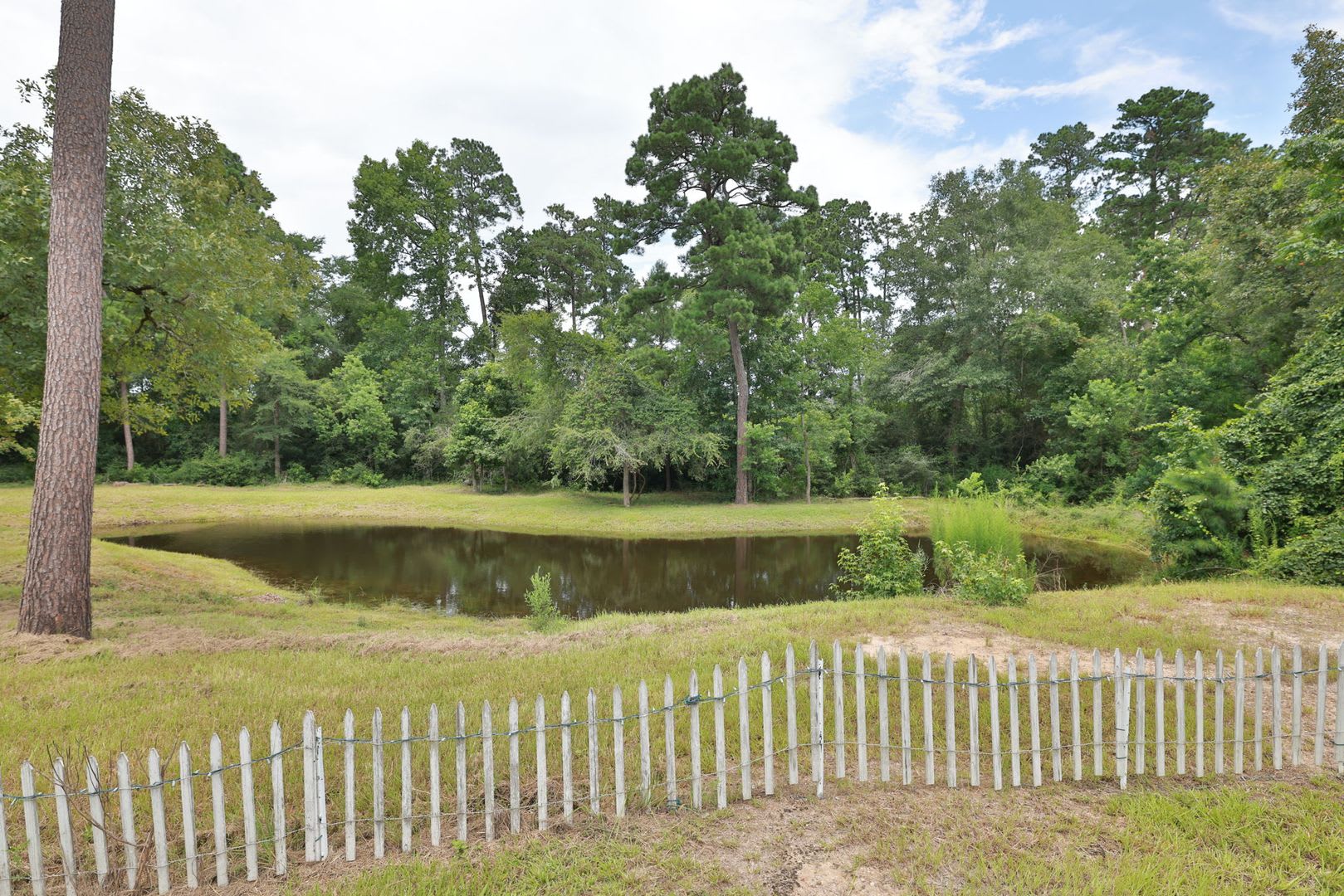 For Lease – photo 4