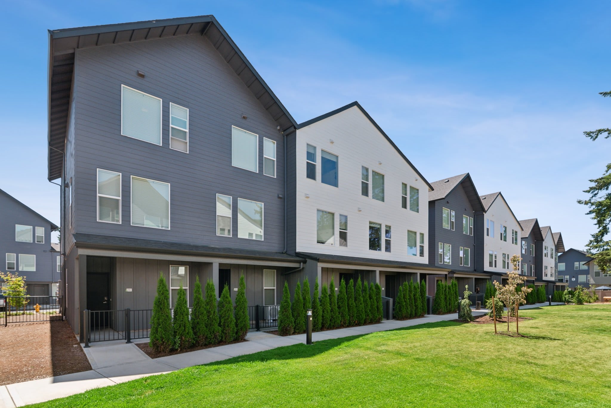 Fir Grove – photo 1