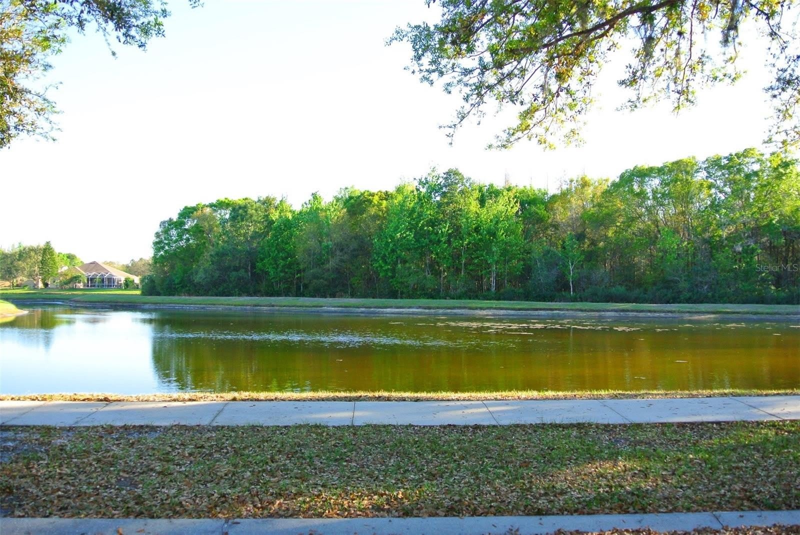 18912 WOOD SAGE Drive – photo 2