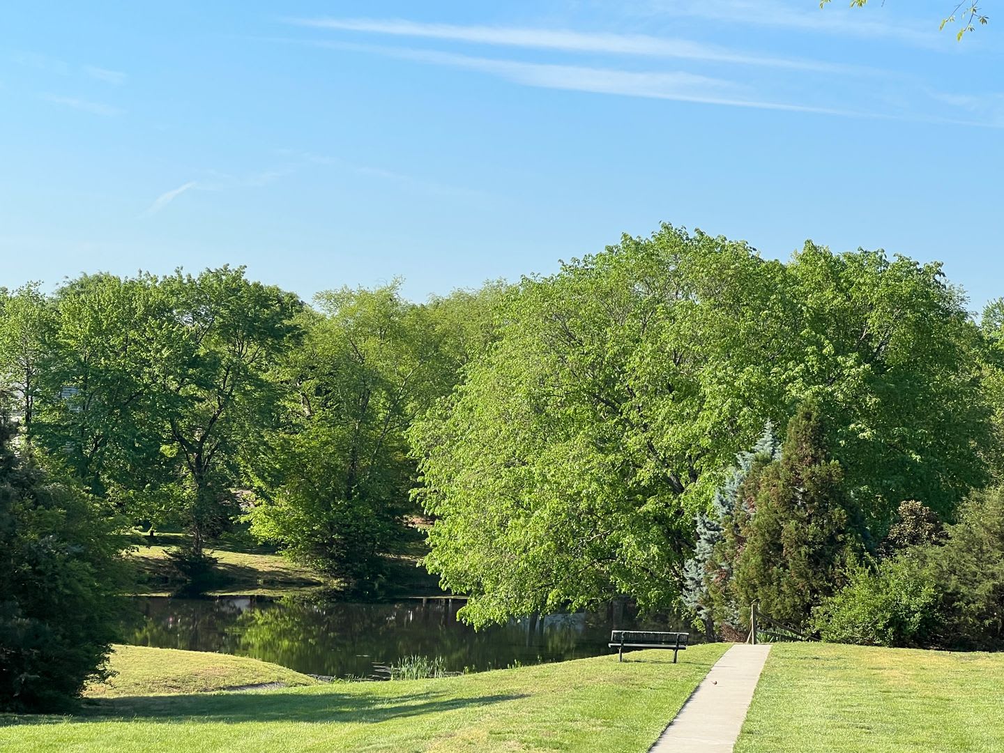 11416 Haltonshire Way – photo 4