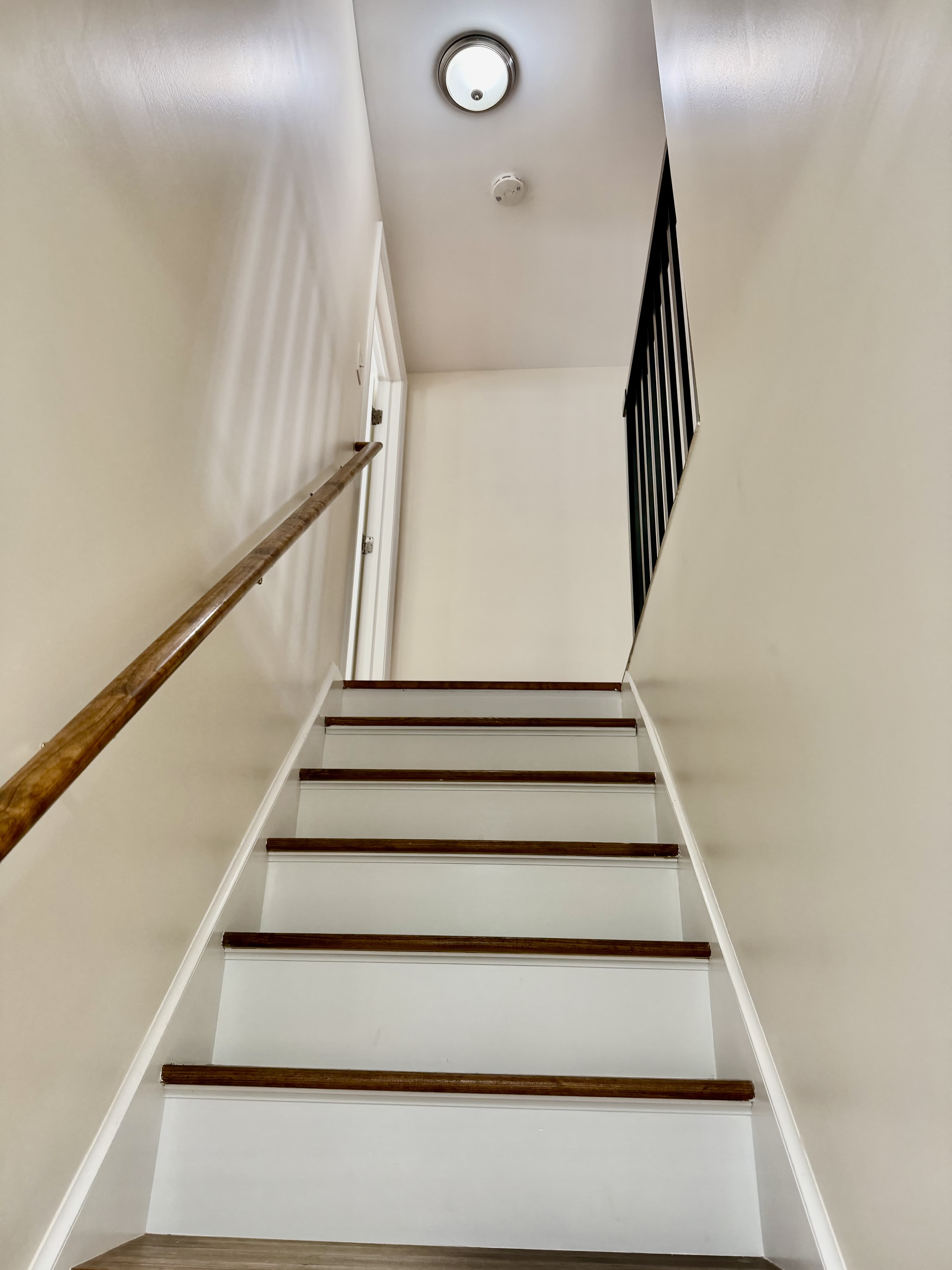 27 Gatto Dr – photo 3