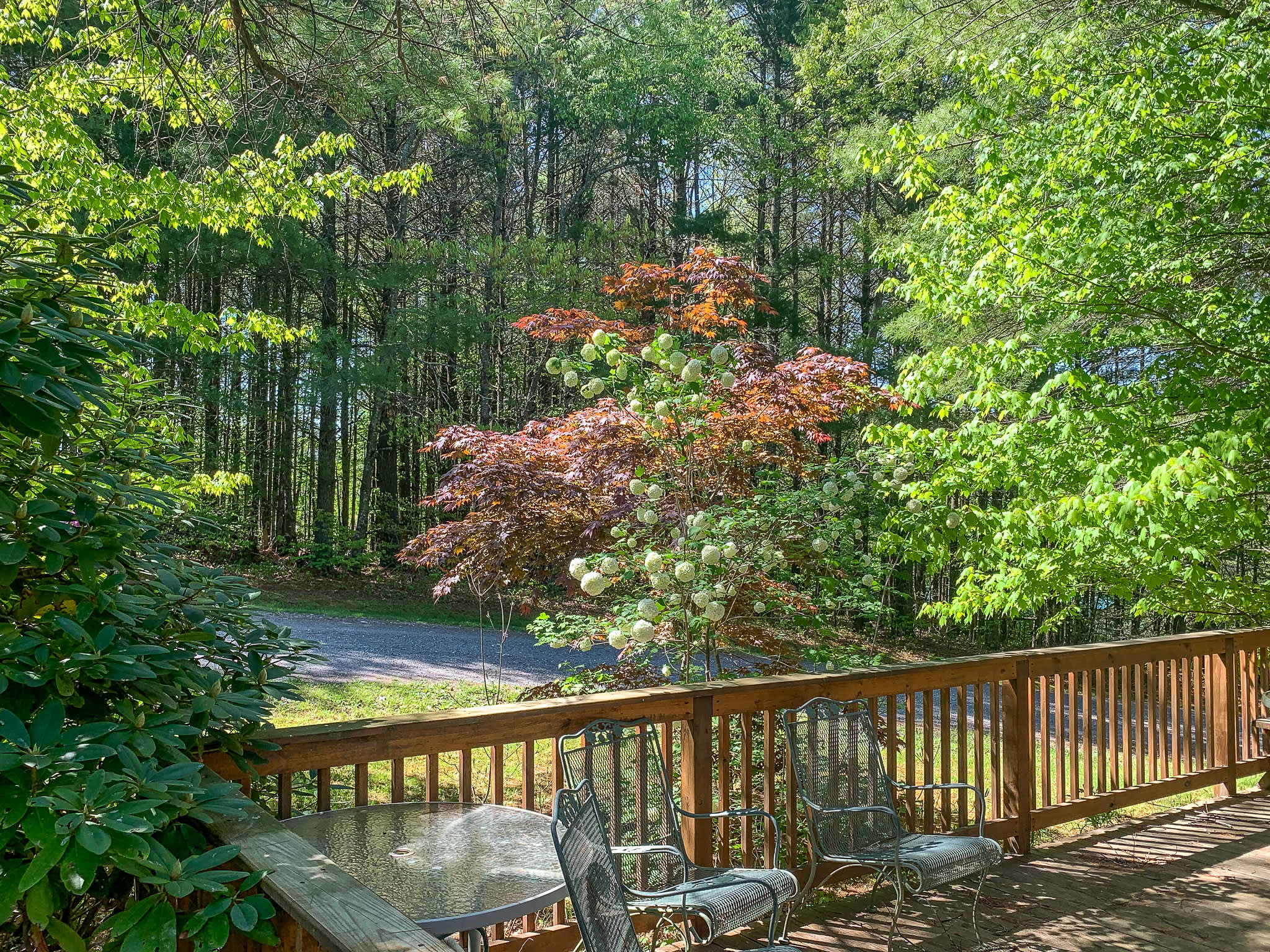 111 Laurel Oak Court – photo 4