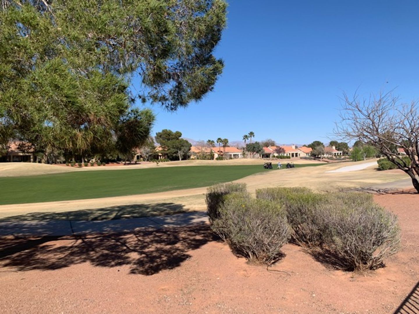 3 Bedroom Sun City Summerlin Home on the Golf Course – photo 5