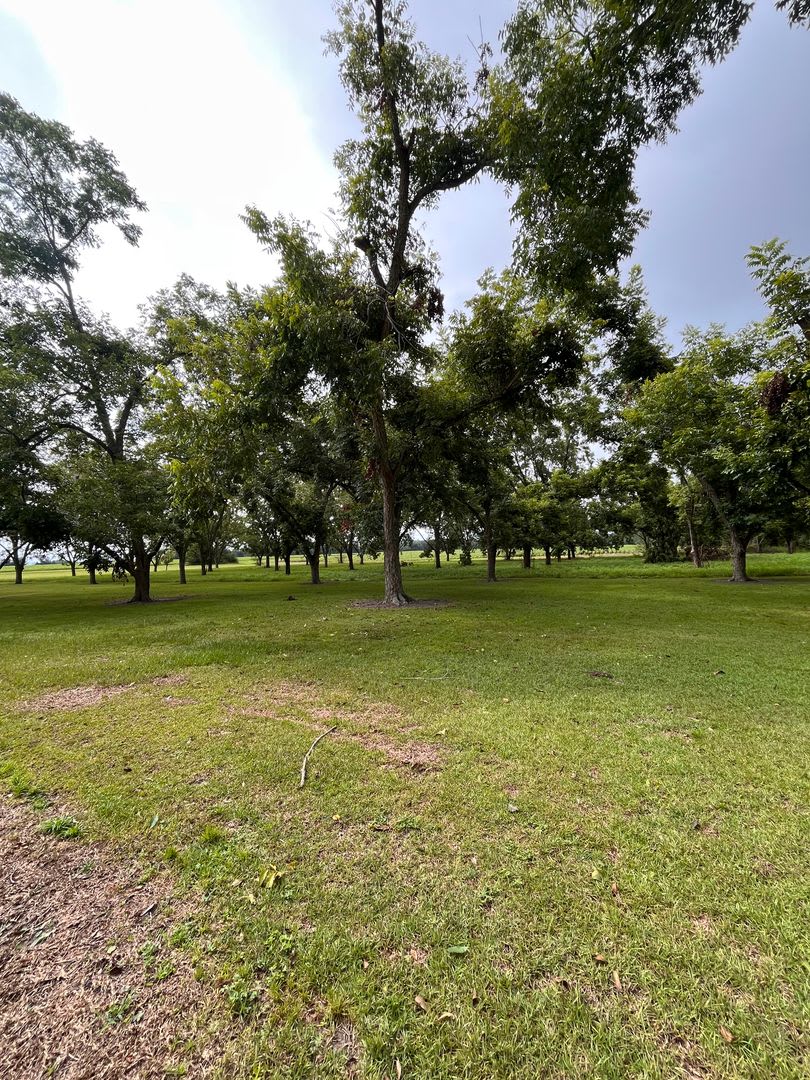 North Lowndes County Home – photo 3