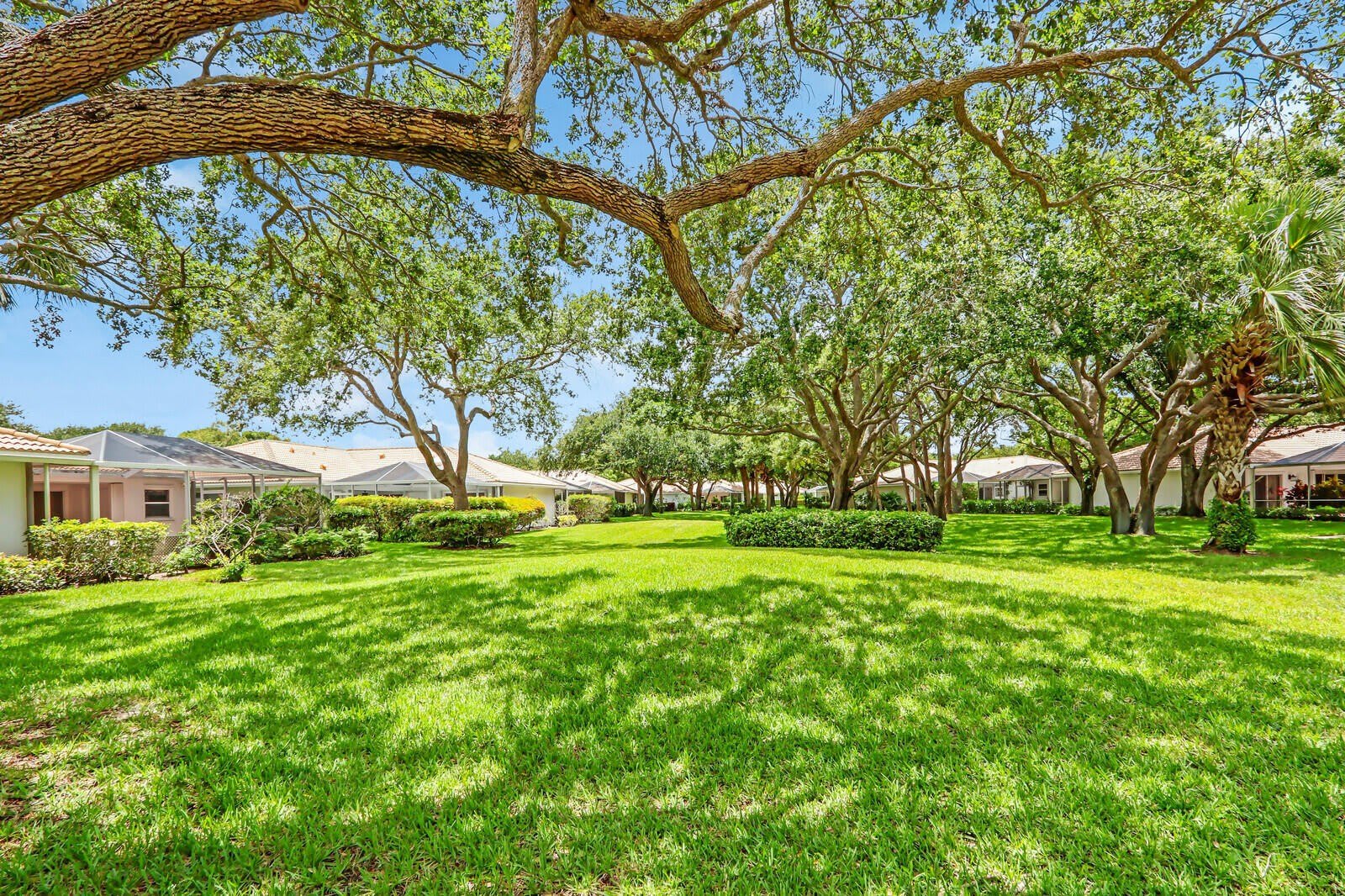 7904 Chapman Oak Court – photo 2