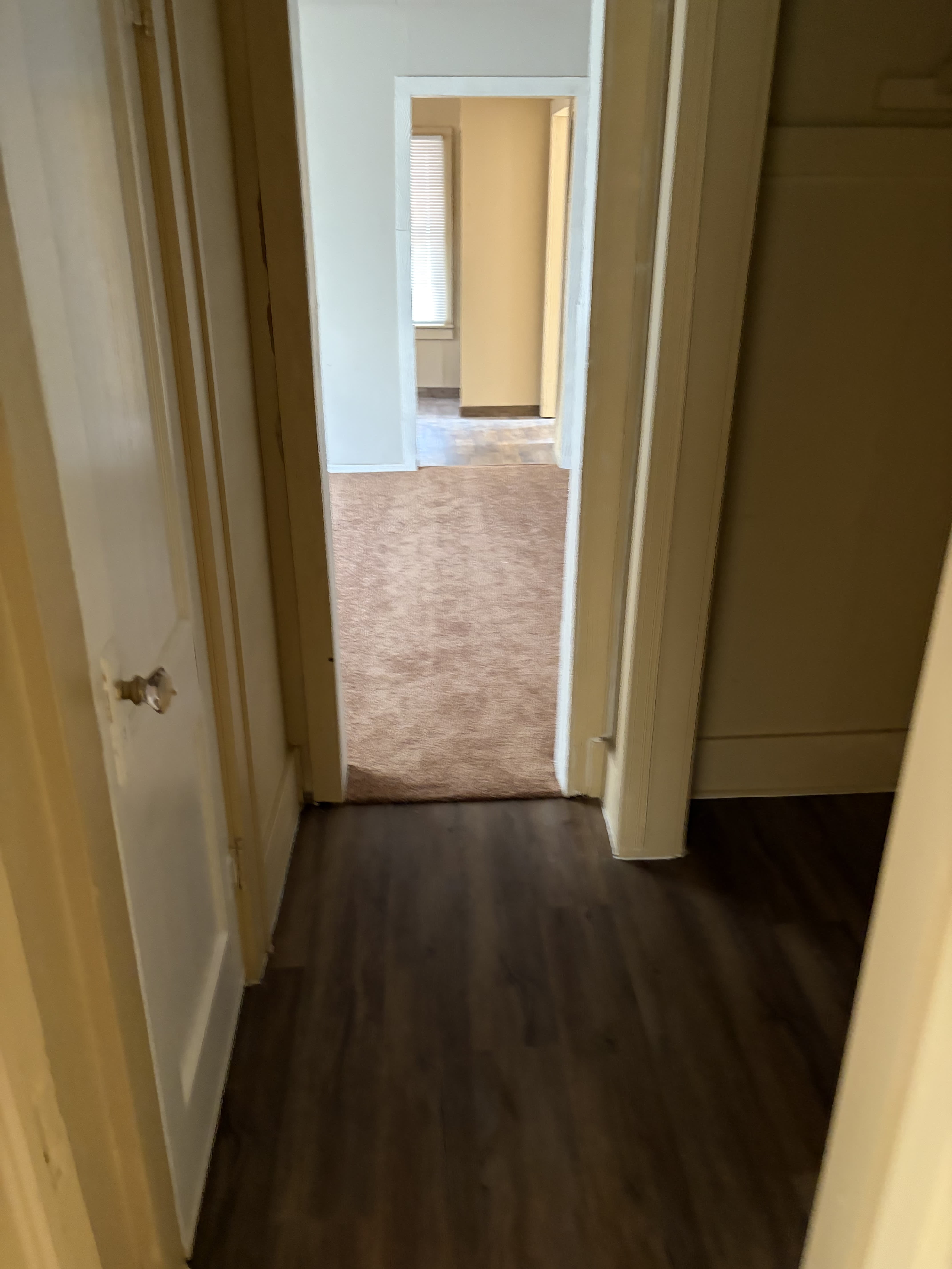 2502 E Newton St – photo 4