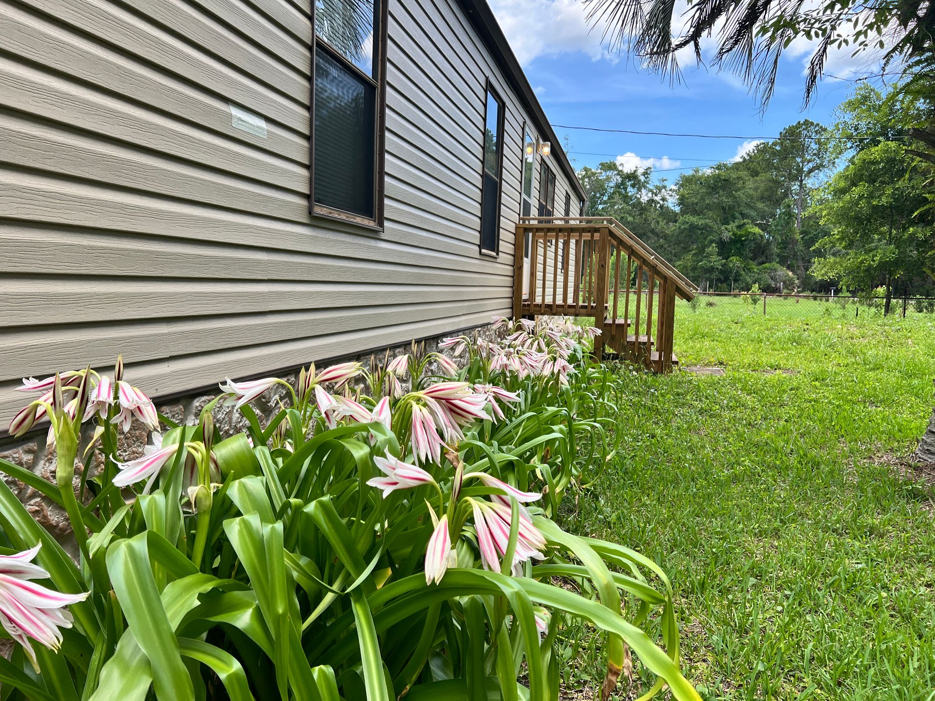 Tiki Ln 14250 – photo 5