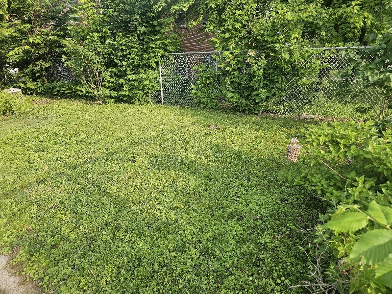 4517 4th Ave S – photo 3