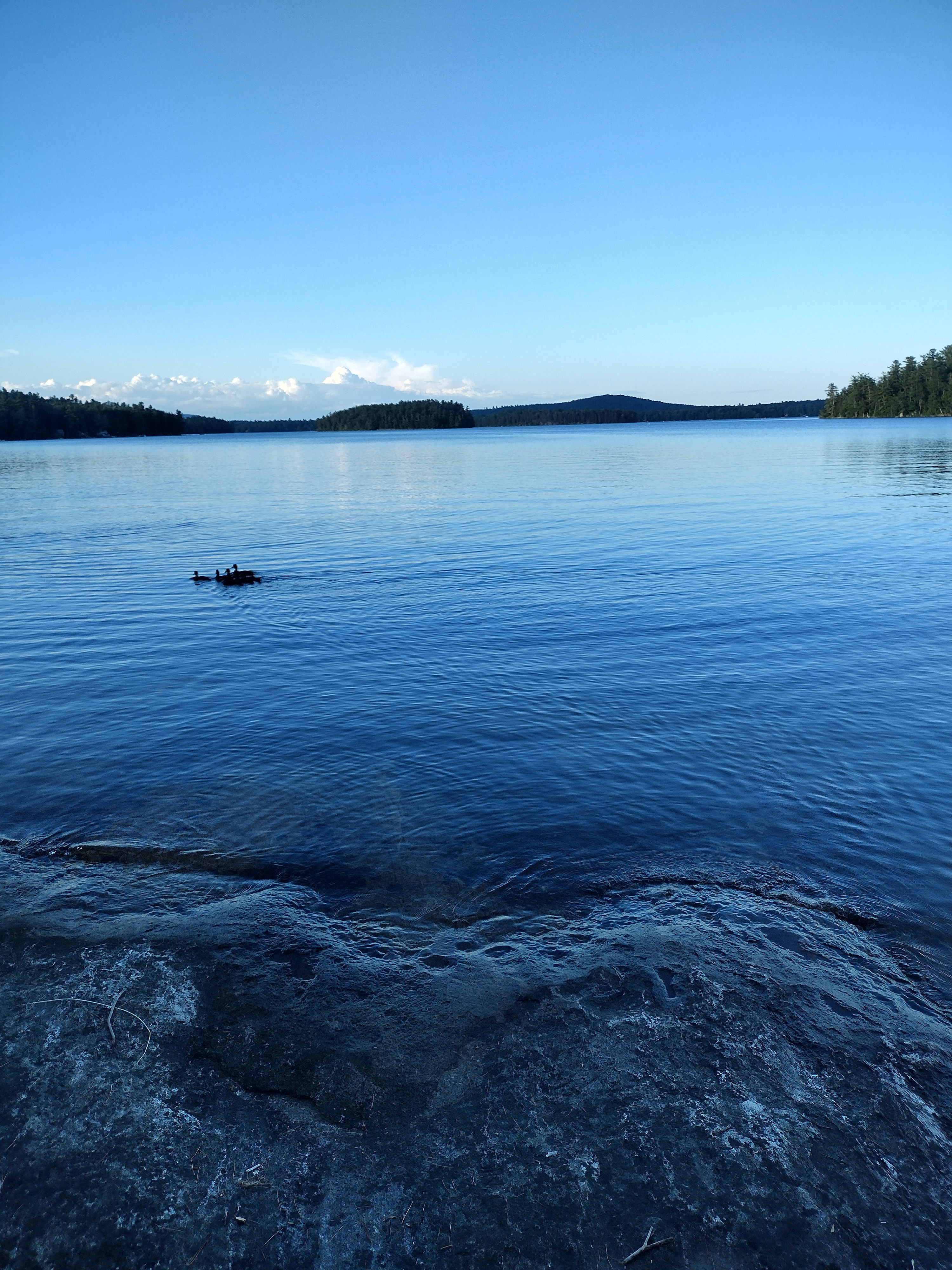 360 Stickney Hill Rd – photo 3