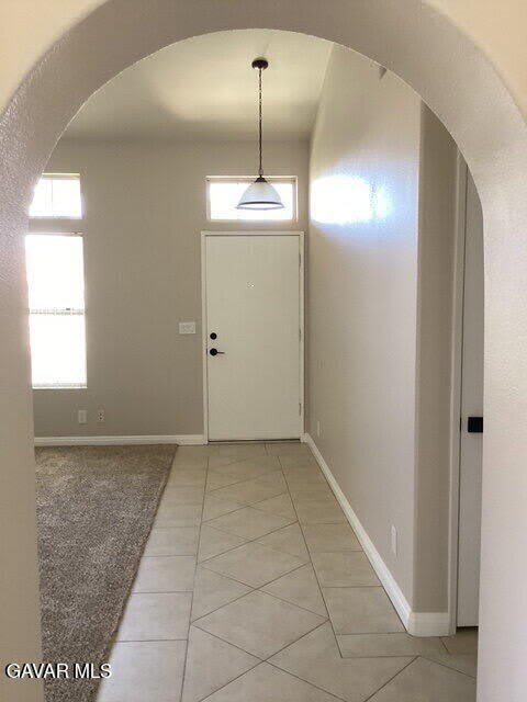 3716 Vireo Drive – photo 4