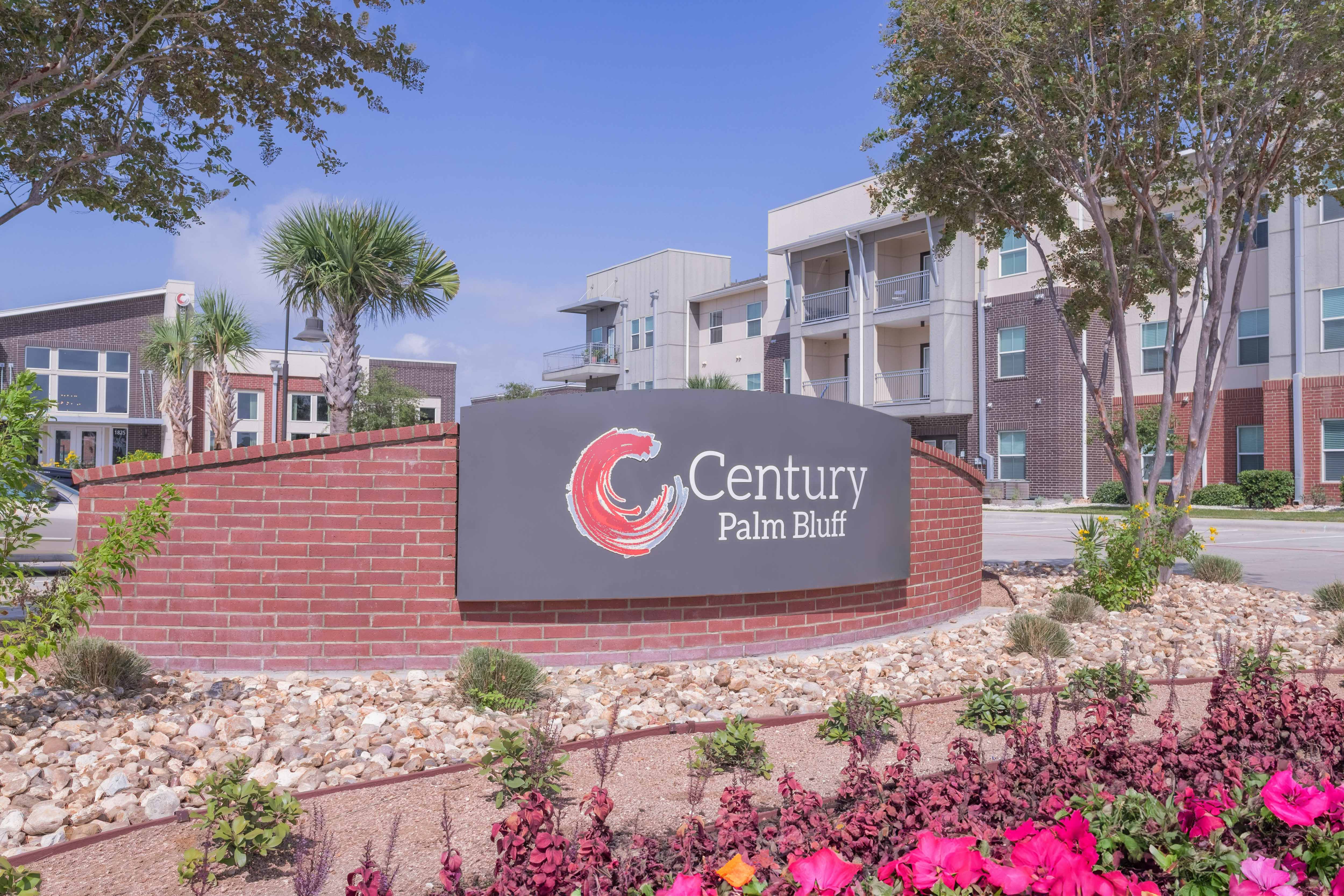 Century Palm Bluff – photo 3