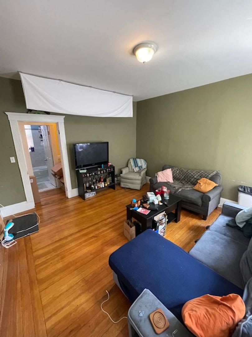 3 600 Spacious 3Br In Brookline 1 600 Sf In Unit Laundry Private Outdoor Space – photo 3