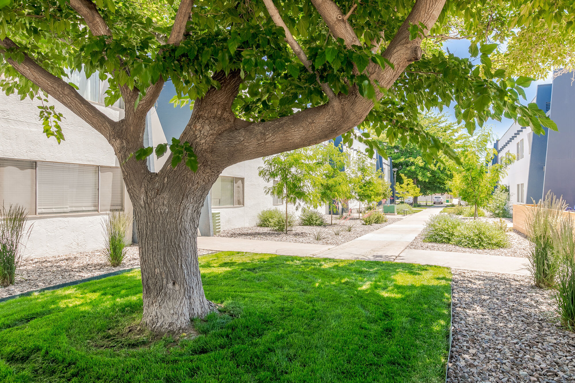 Valley Apartments – photo 3