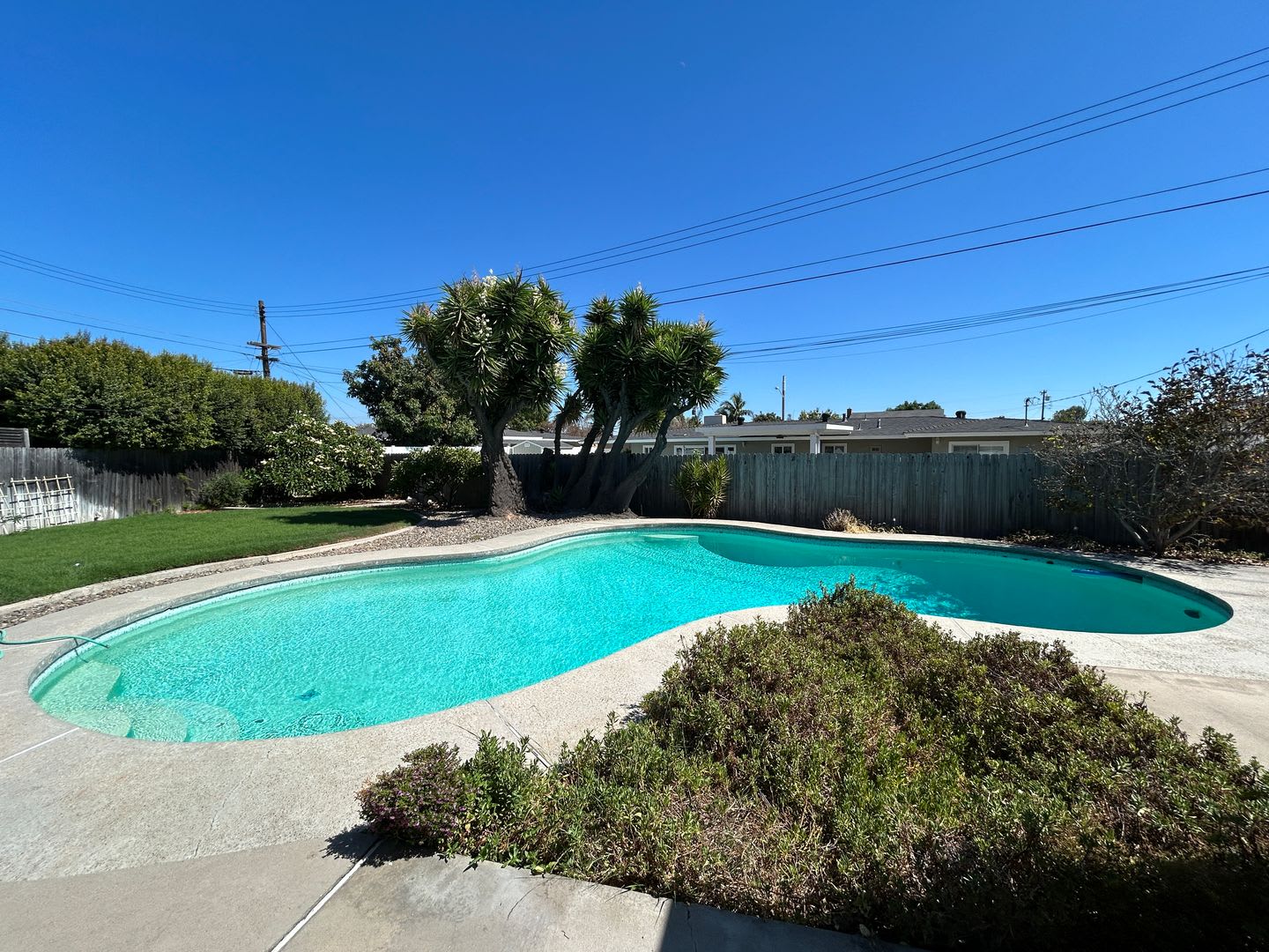 Beautifully Updated 4 Bed 2 Bath Ranch Style Pool Home in Tustin with Solar! – photo 5