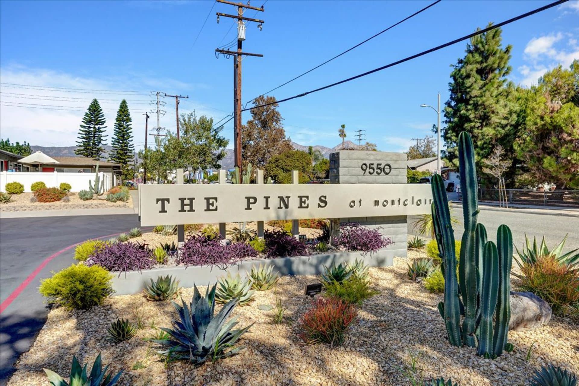 The Pines Apartments – photo 3