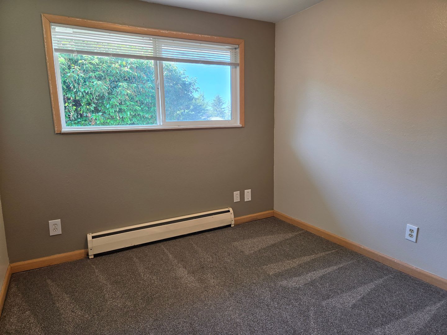 3405 Alabama Street – photo 4