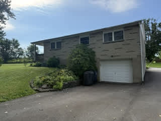 55 Martha Ave – photo 4