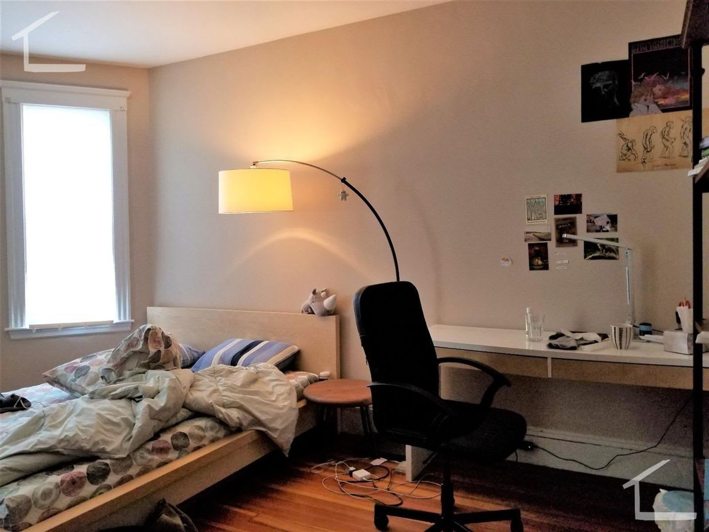 Unique Brookline Apartment. For you 9/1/26 – photo 4