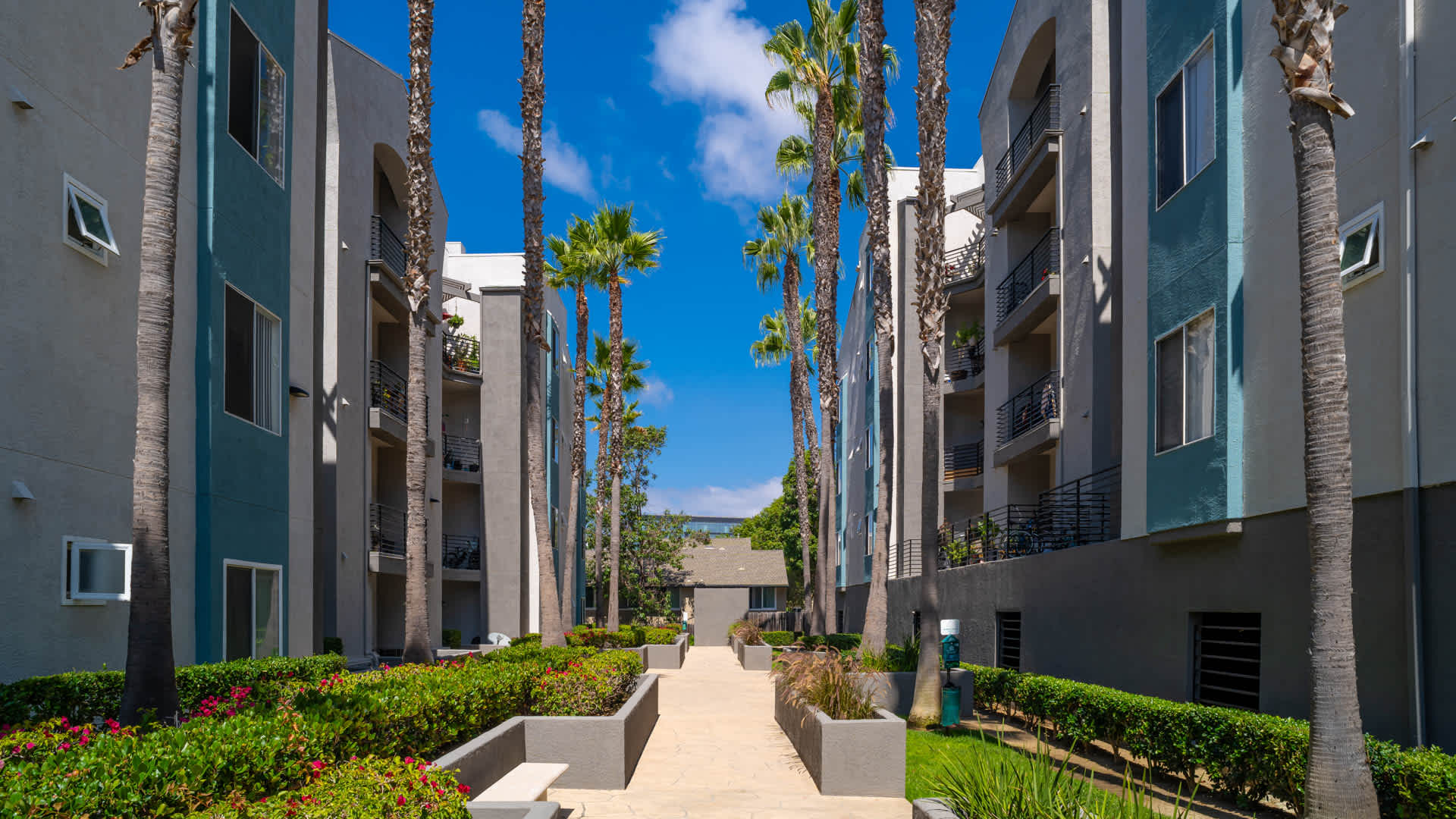 Del Mar Ridge – photo 1