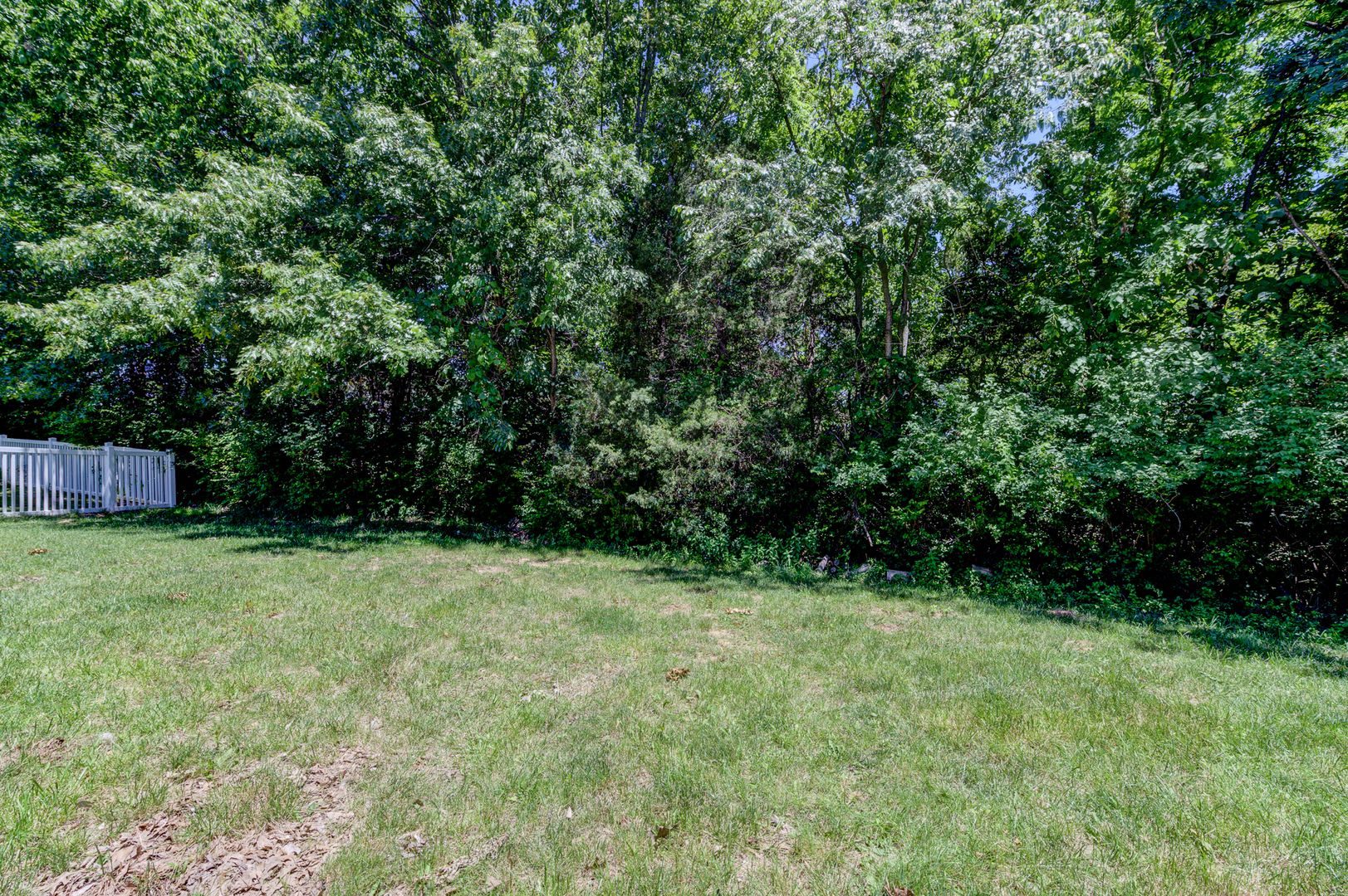 Spacious 3 Bedroom With A Finished Basement Fantastic Eureka Location – photo 4
