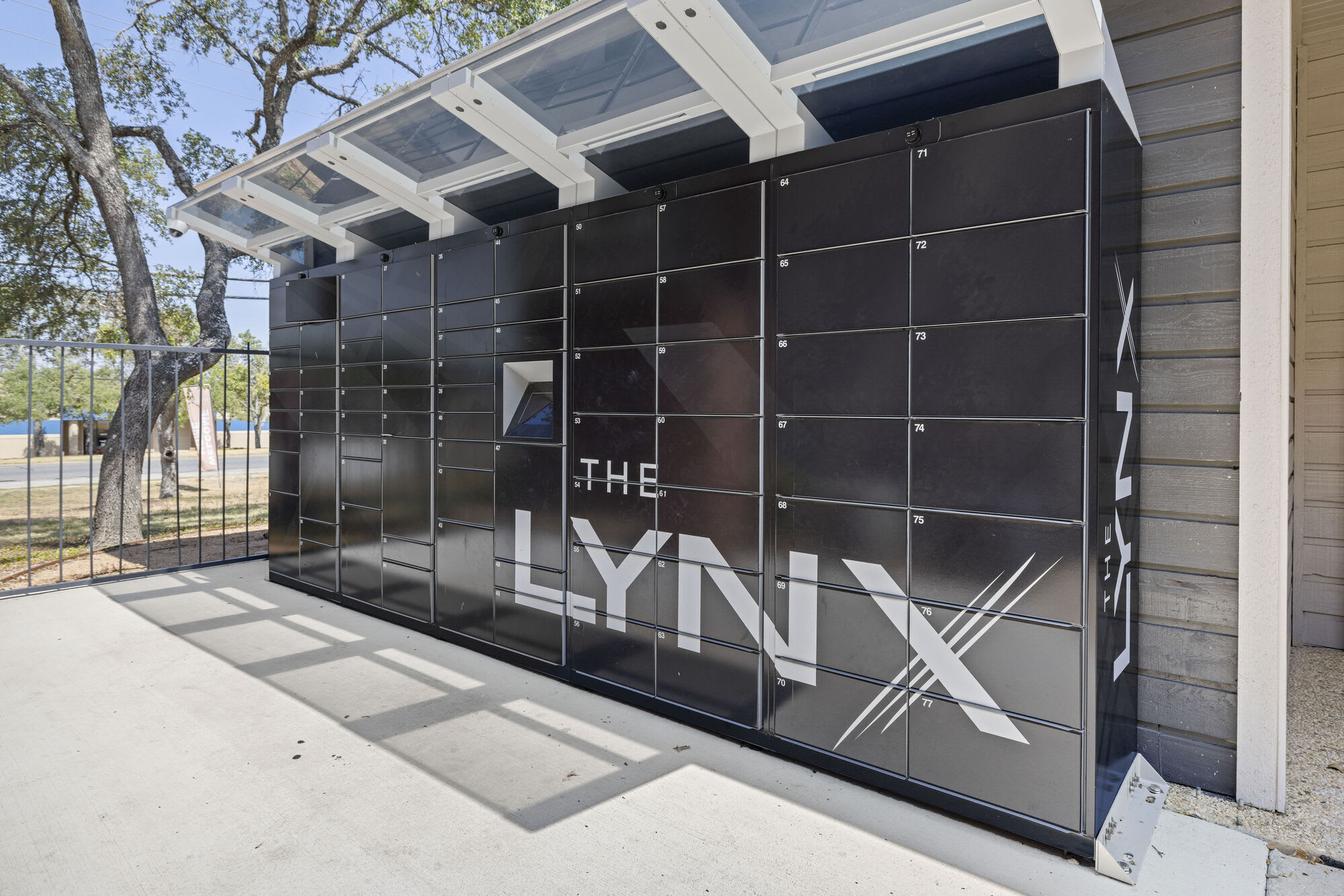 The Lynx – photo 4