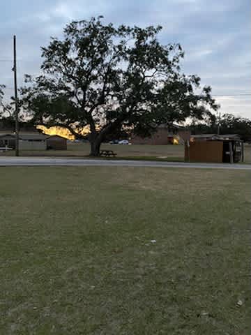 12461 Airblanc Circle #46 – photo 4