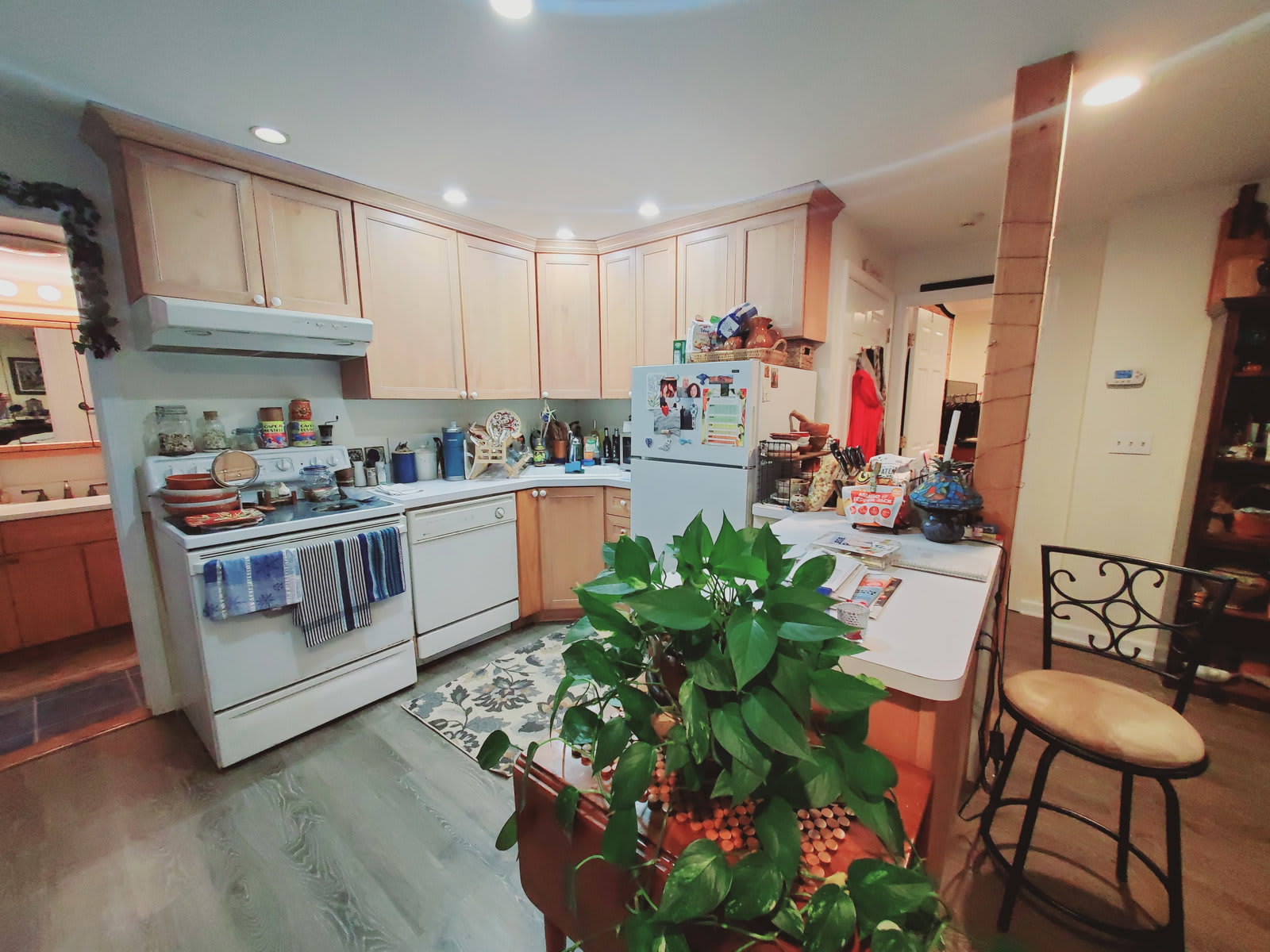 36 Bayne Street – photo 1