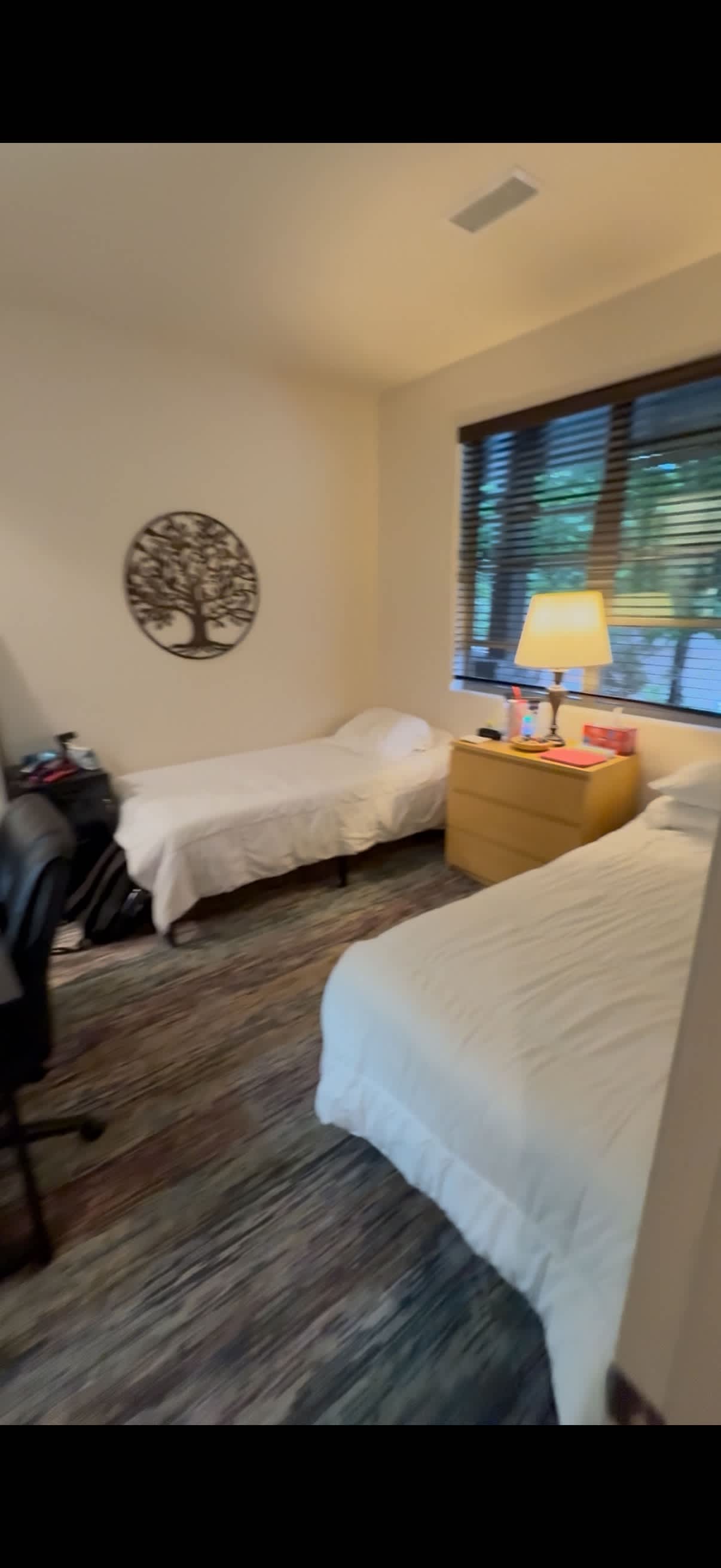 2907 S Pepita Dr – photo 2