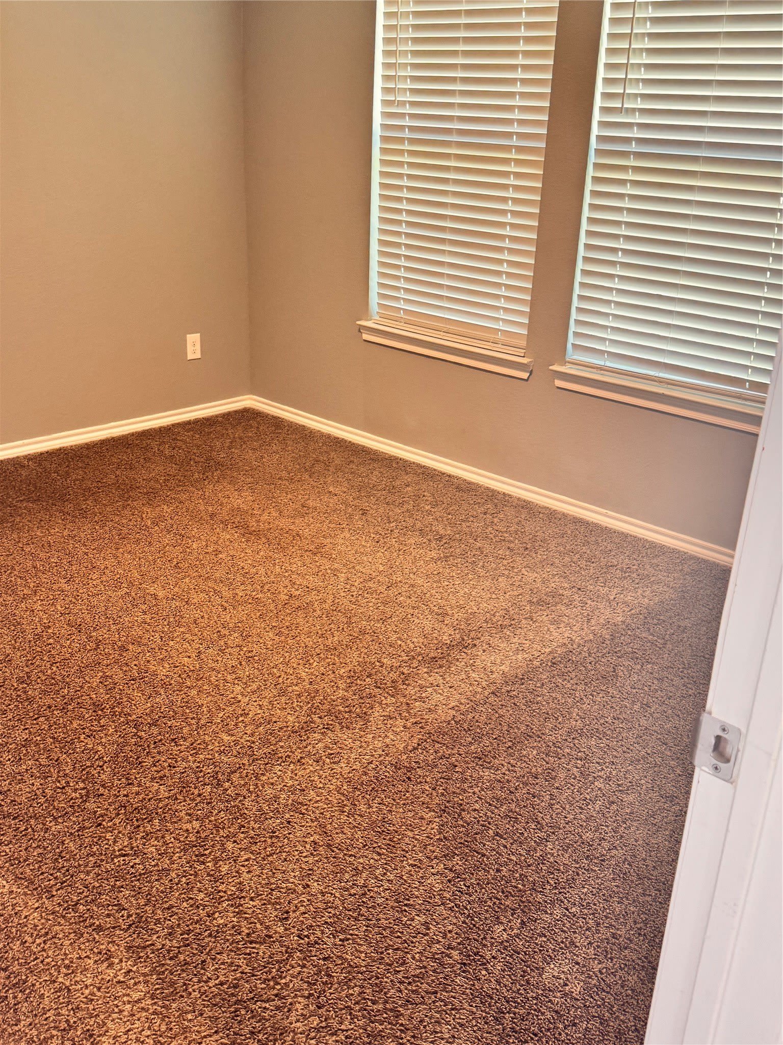 2900 Buttonbush Drive – photo 4