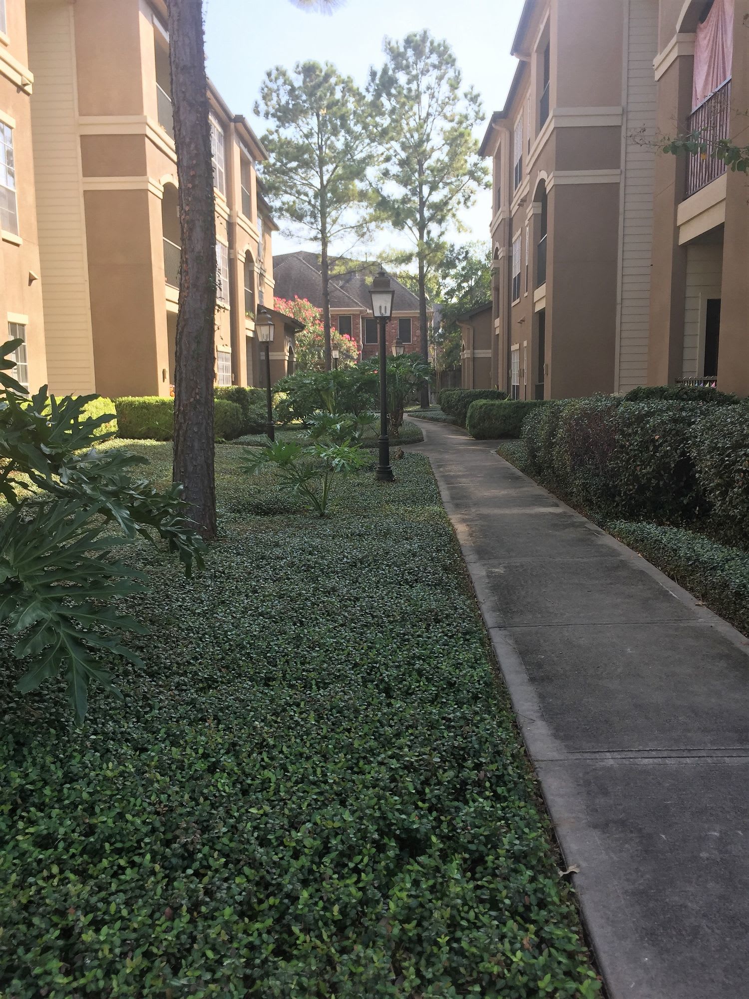 The Boulevard Apartments – photo 4