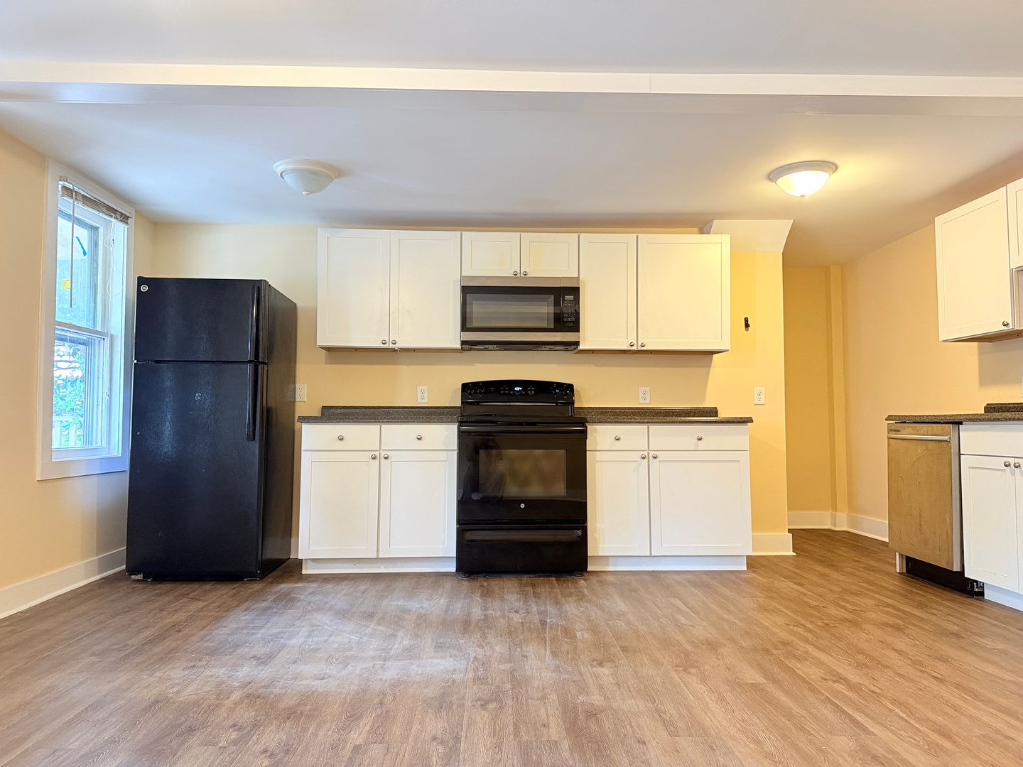 DOWNSTAIRS Charming 4BR Downtown Milford Home Just Steps from the Riverwalk! – photo 2