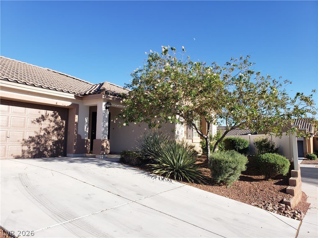 7876 CROWNBEARD Street – photo 5