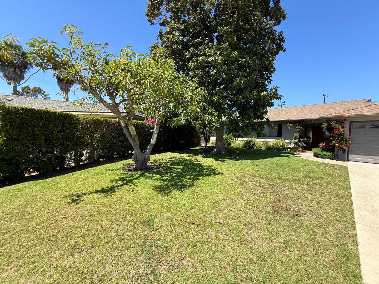 Spacious 3Br Home Near Monte Vista Elementary On Quiet Cul De Sac With Large Yard Mountain Views – photo 3