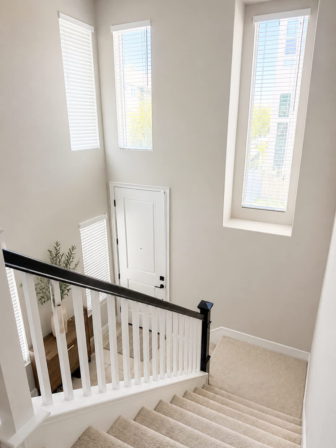 8162 Rose Quartz Circle – photo 2