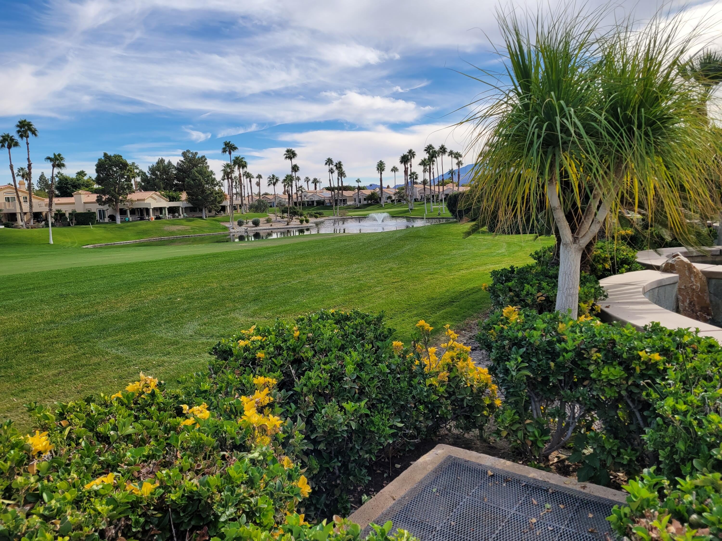 29704 W Trancas Drive – photo 4