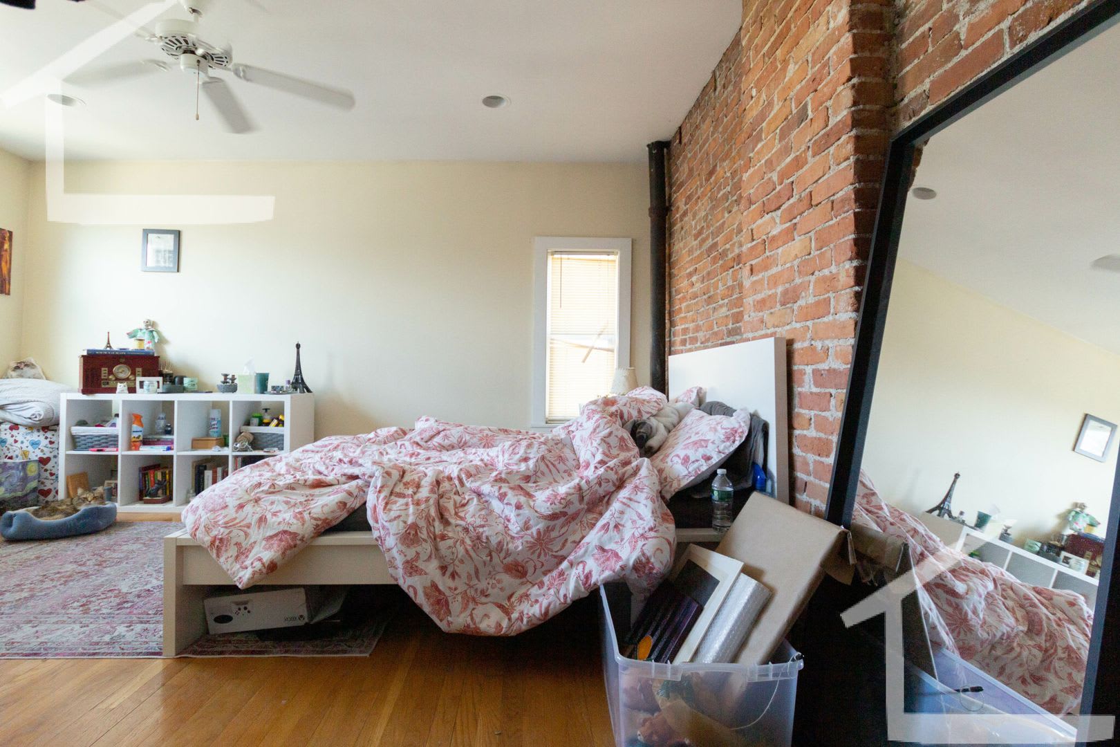 NO FEE! Amazing Home with 3 full Baths and Laundry in Unit! Cat Friendly, Parking Available – photo 2